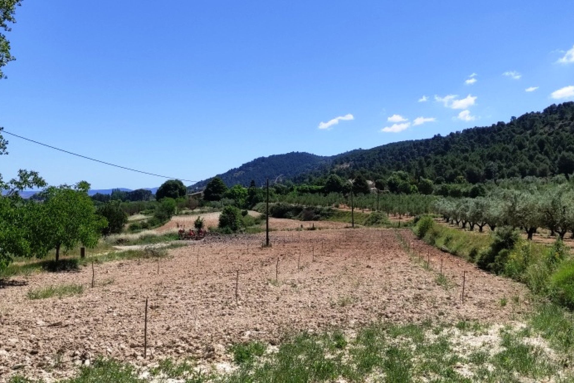 Resale - Villa - Bocairent