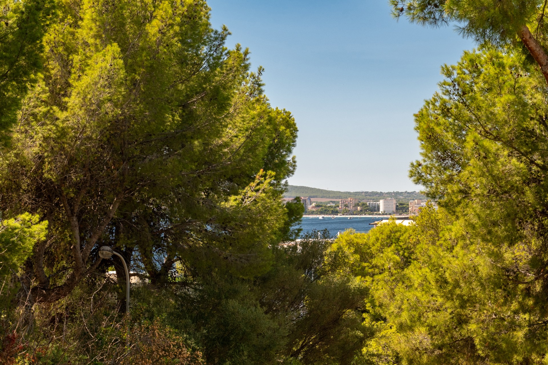 Resale - Villa - Calvià - Portals Nous