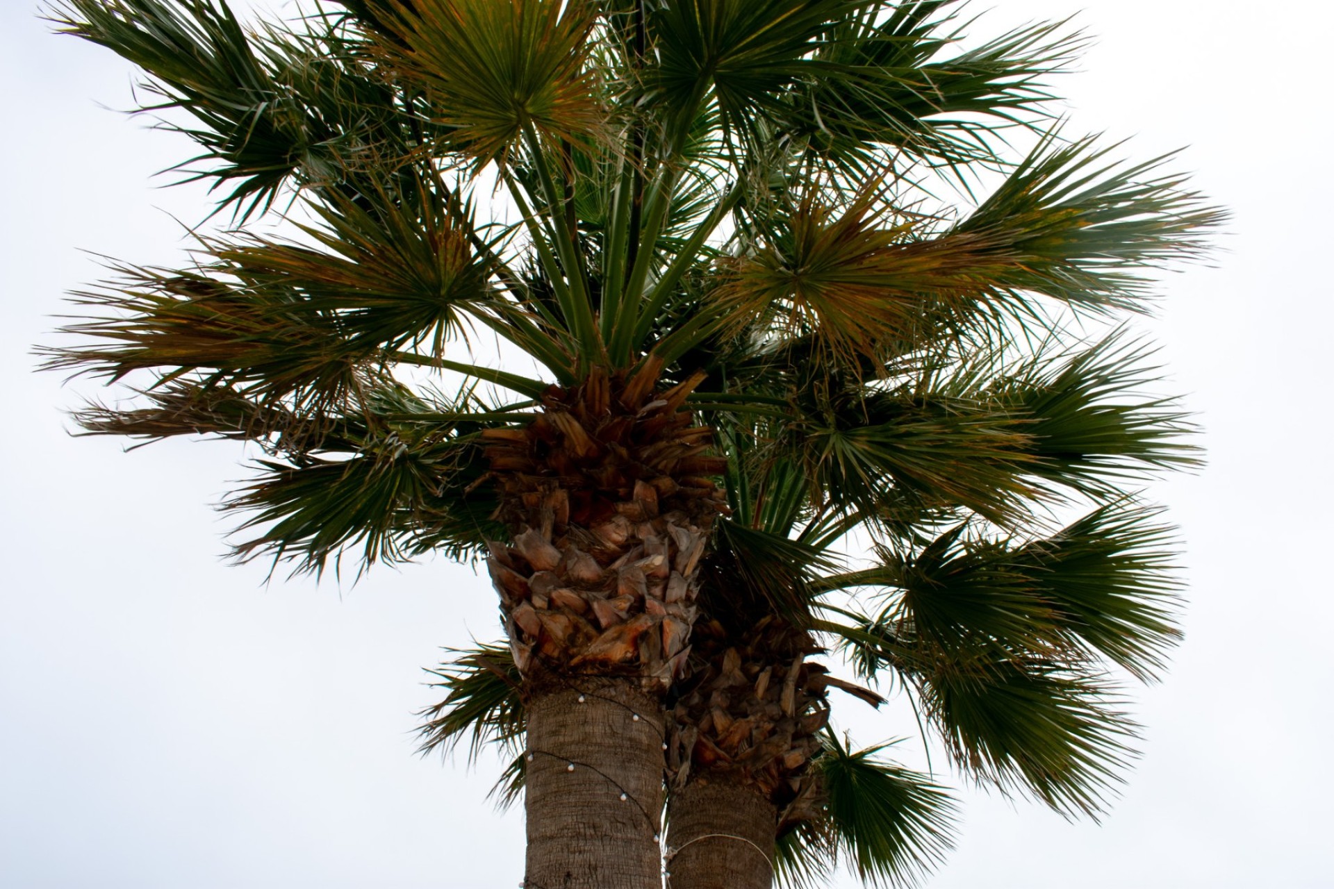 Resale - Villa - Cartagena - La Manga del Mar Menor