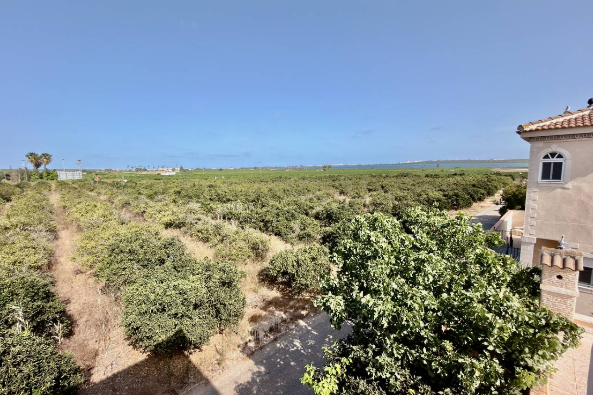 Resale - Villa - Ciudad Quesada - Doña Pepa