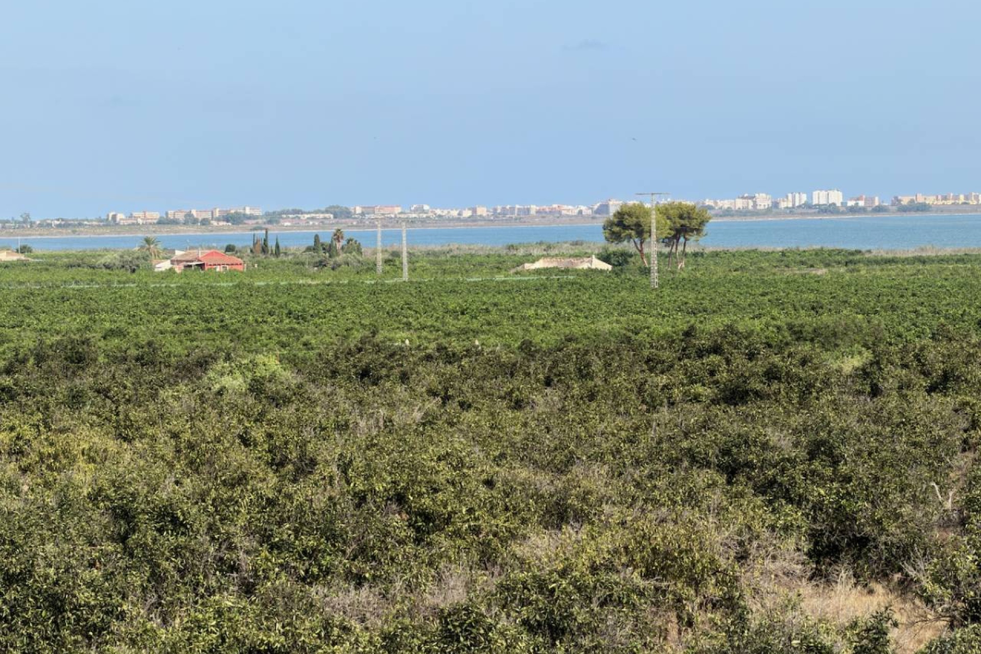 Resale - Villa - Ciudad Quesada - Doña Pepa