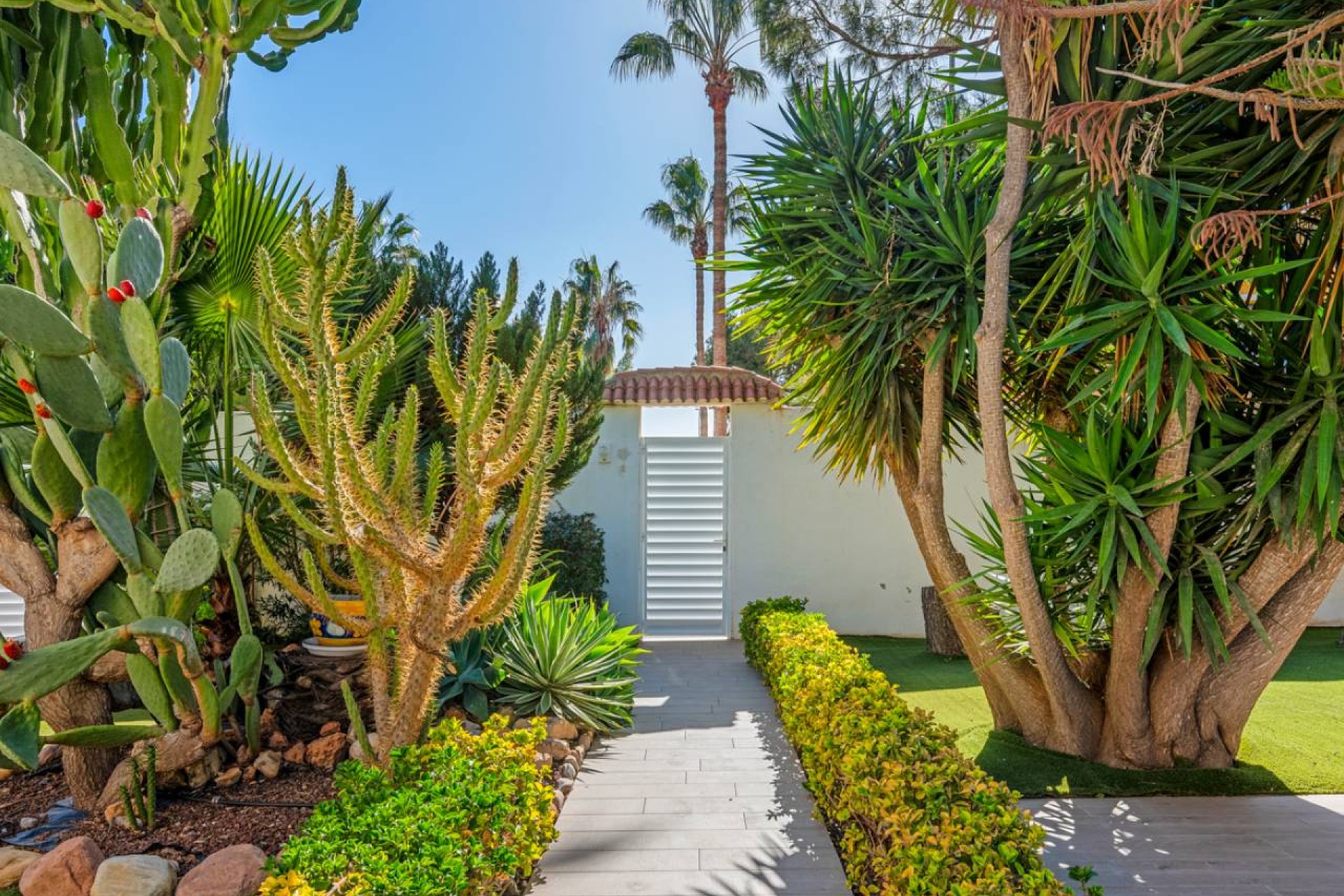 Resale - Villa - Ciudad Quesada - Doña Pepa