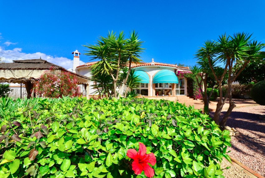 Resale - Villa - Ciudad Quesada - Quesada Center