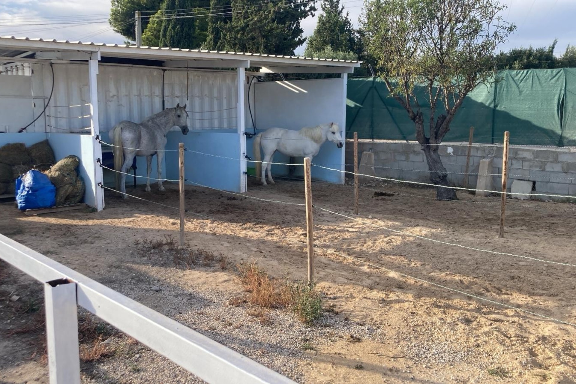 Resale - Villa - Crevillente