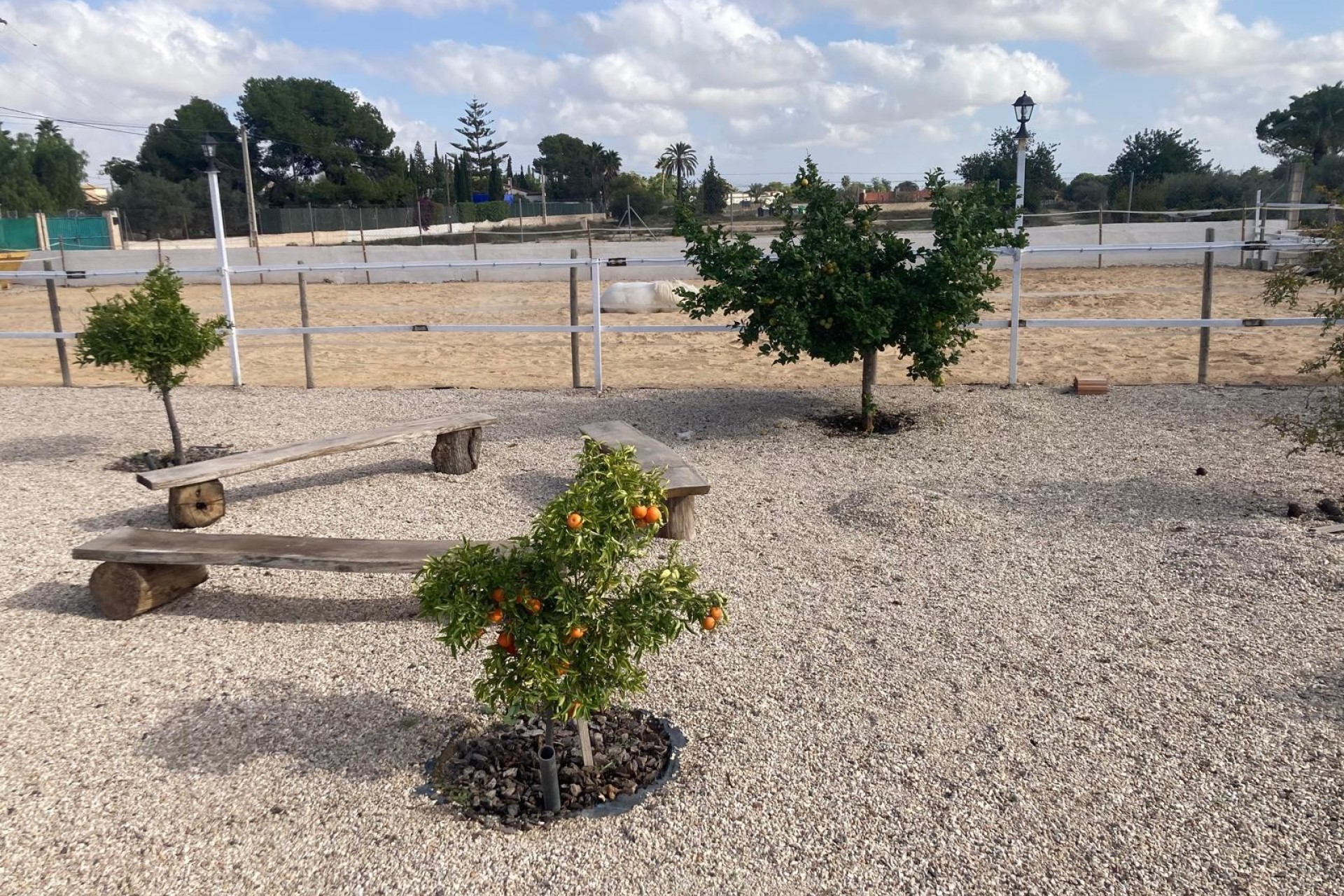 Resale - Villa - Crevillente