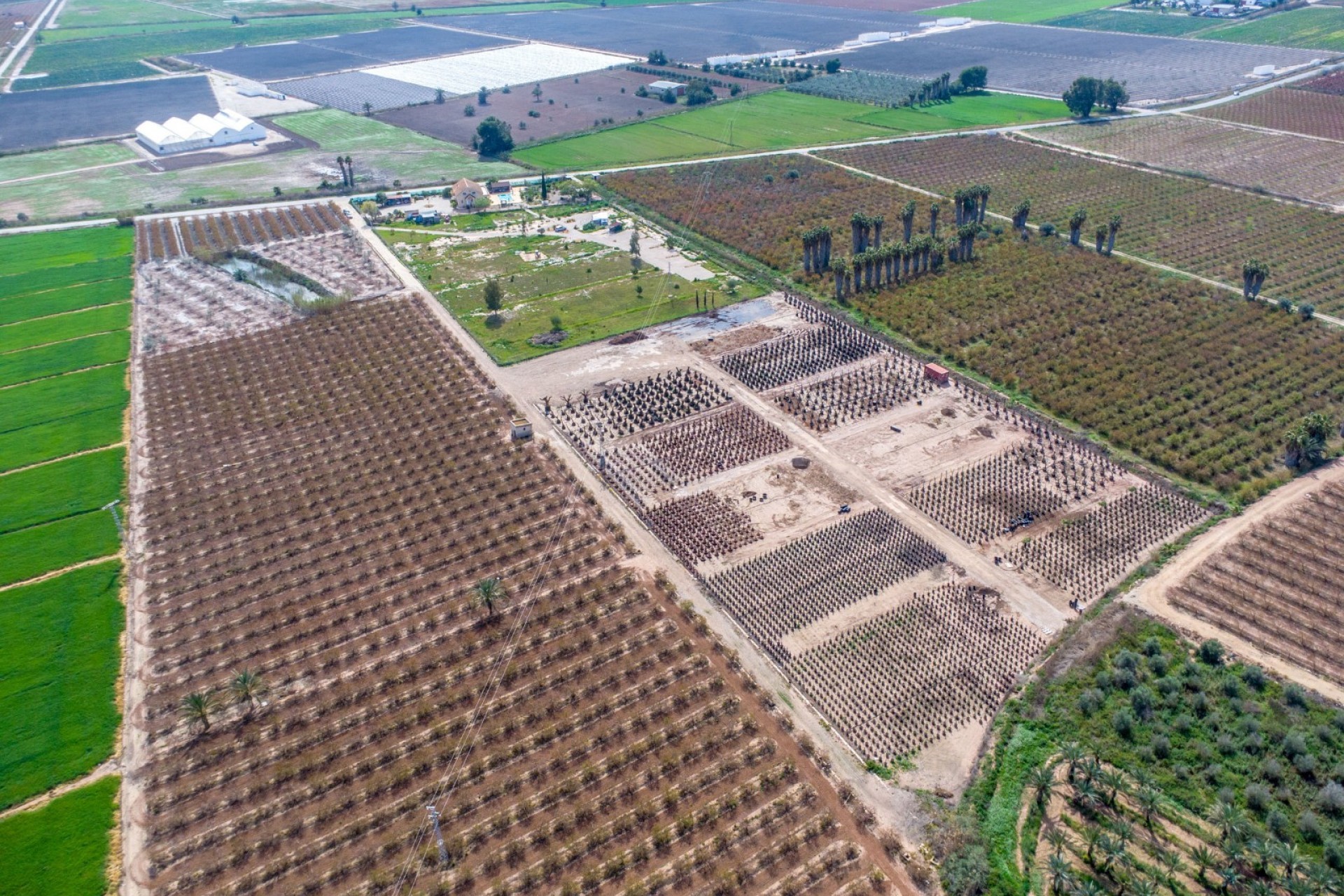 Resale - Villa - Crevillente