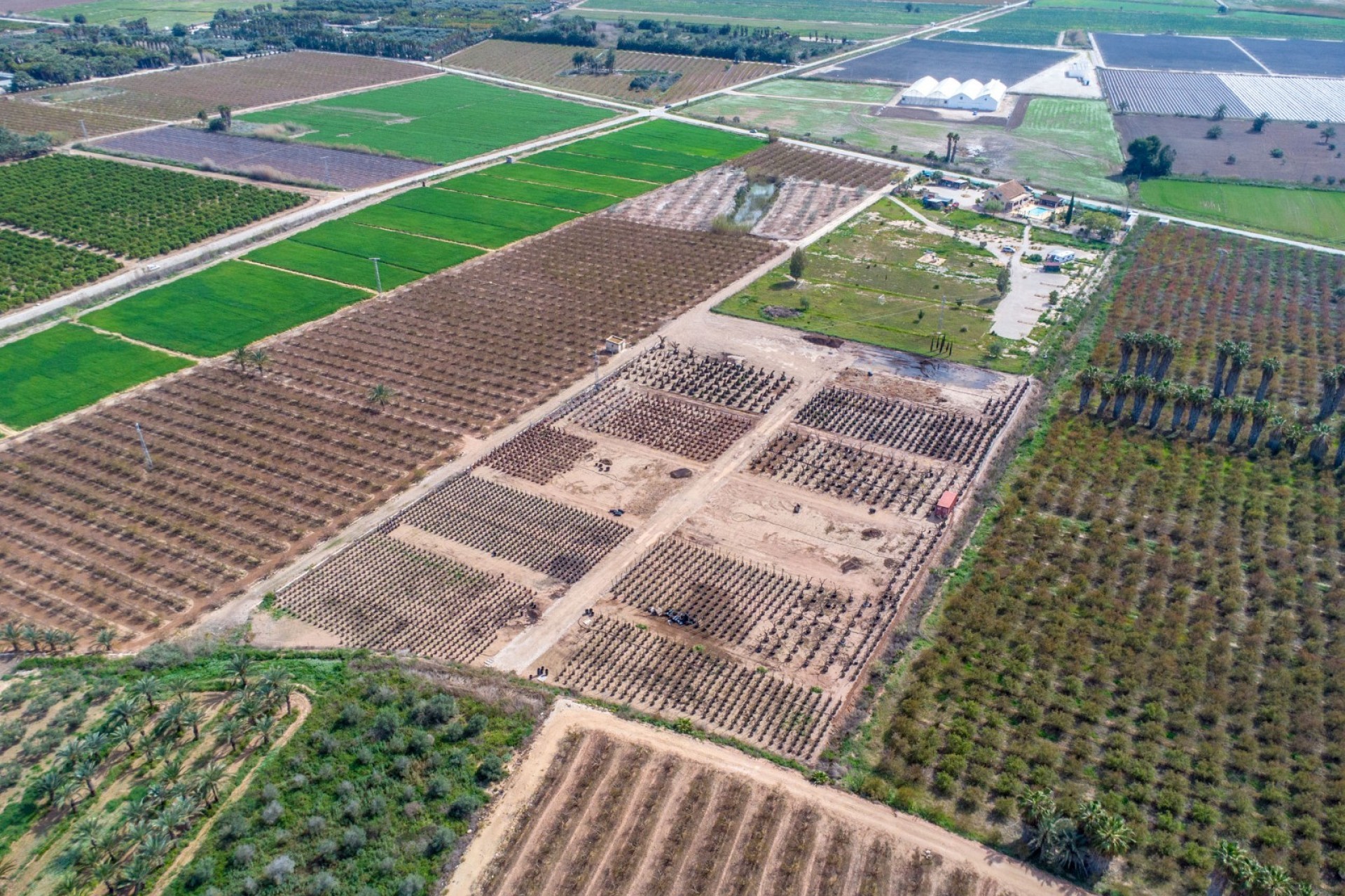 Resale - Villa - Crevillente