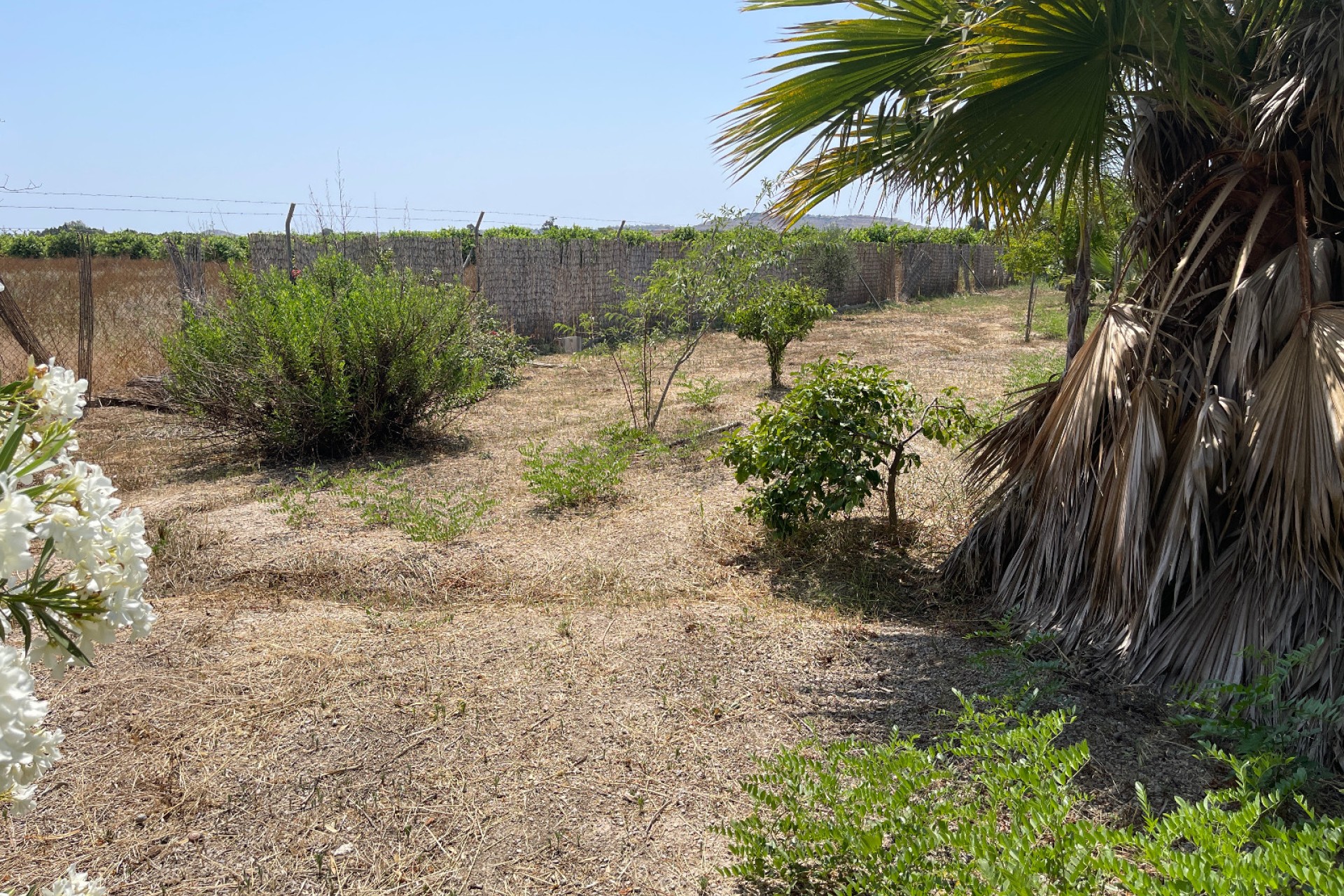 Resale - Villa - Daya Nueva