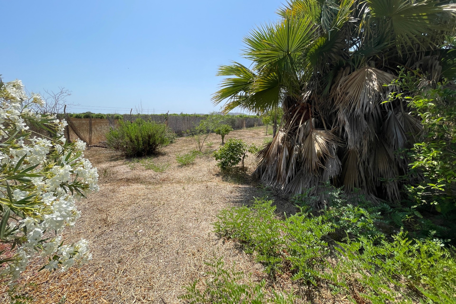 Resale - Villa - Daya Nueva