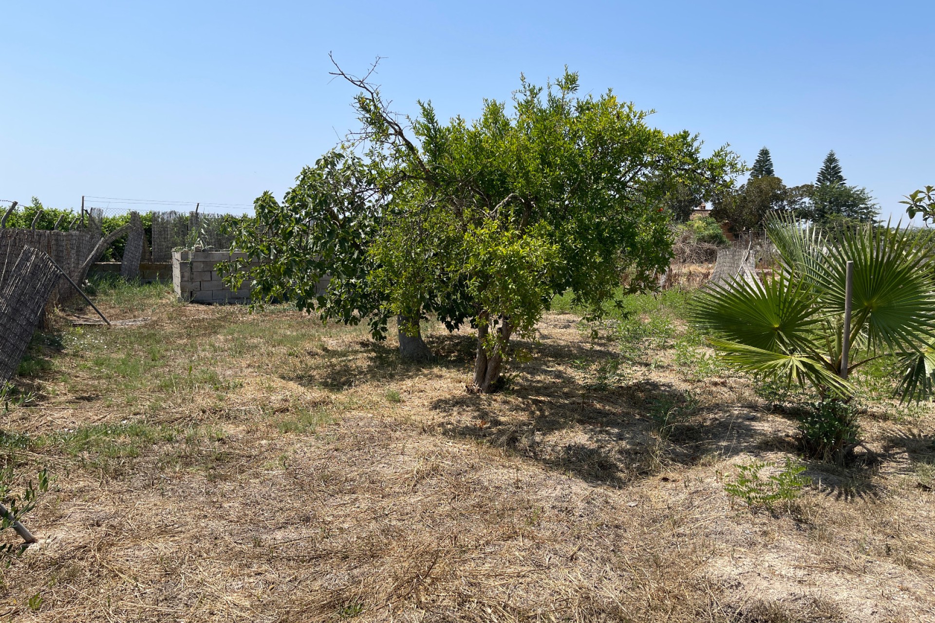 Resale - Villa - Daya Nueva