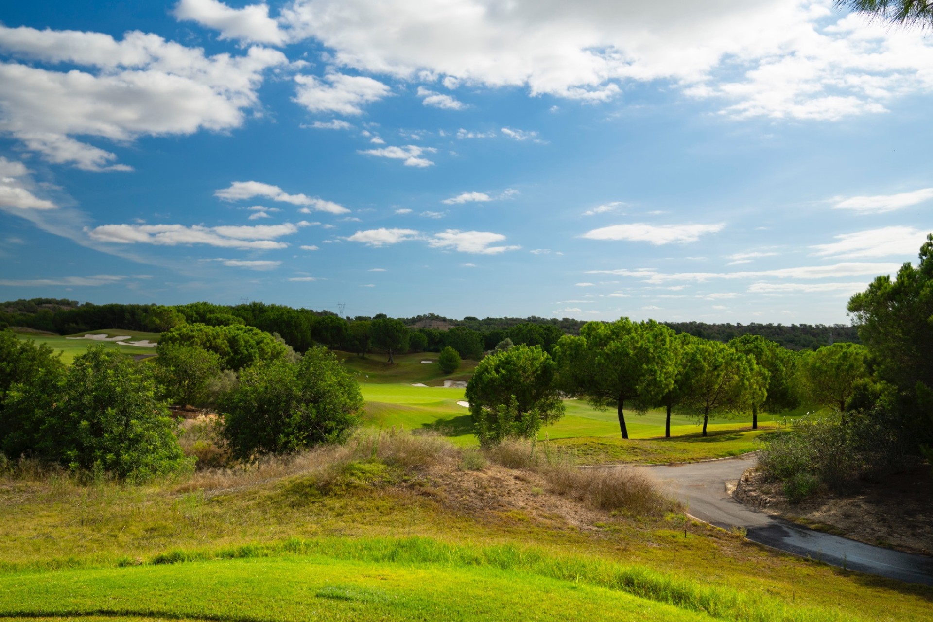 Resale - Villa - Dehesa de Campoamor - Dehesa de campoamor