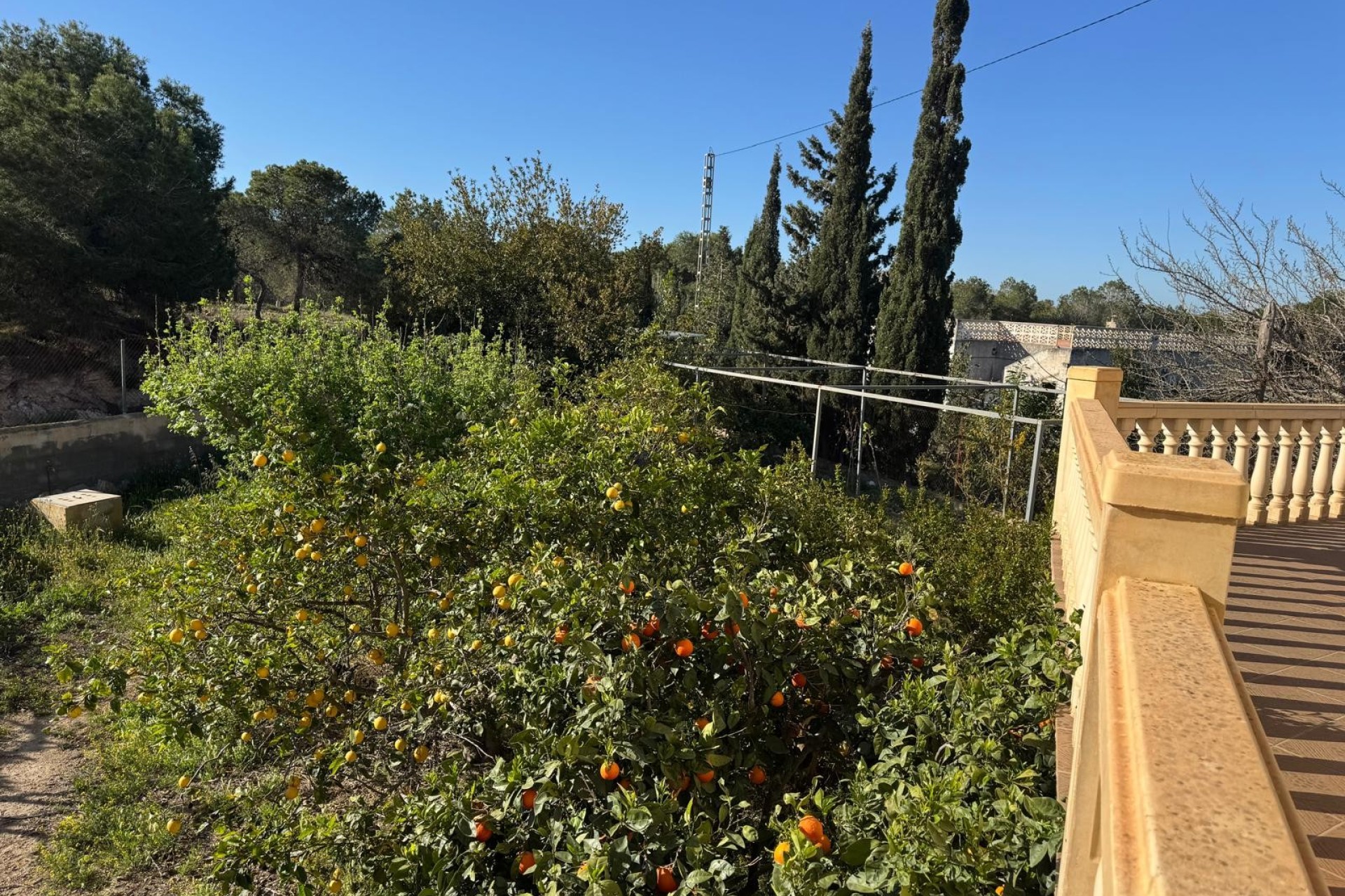 Resale - Villa - Elche - La Marina