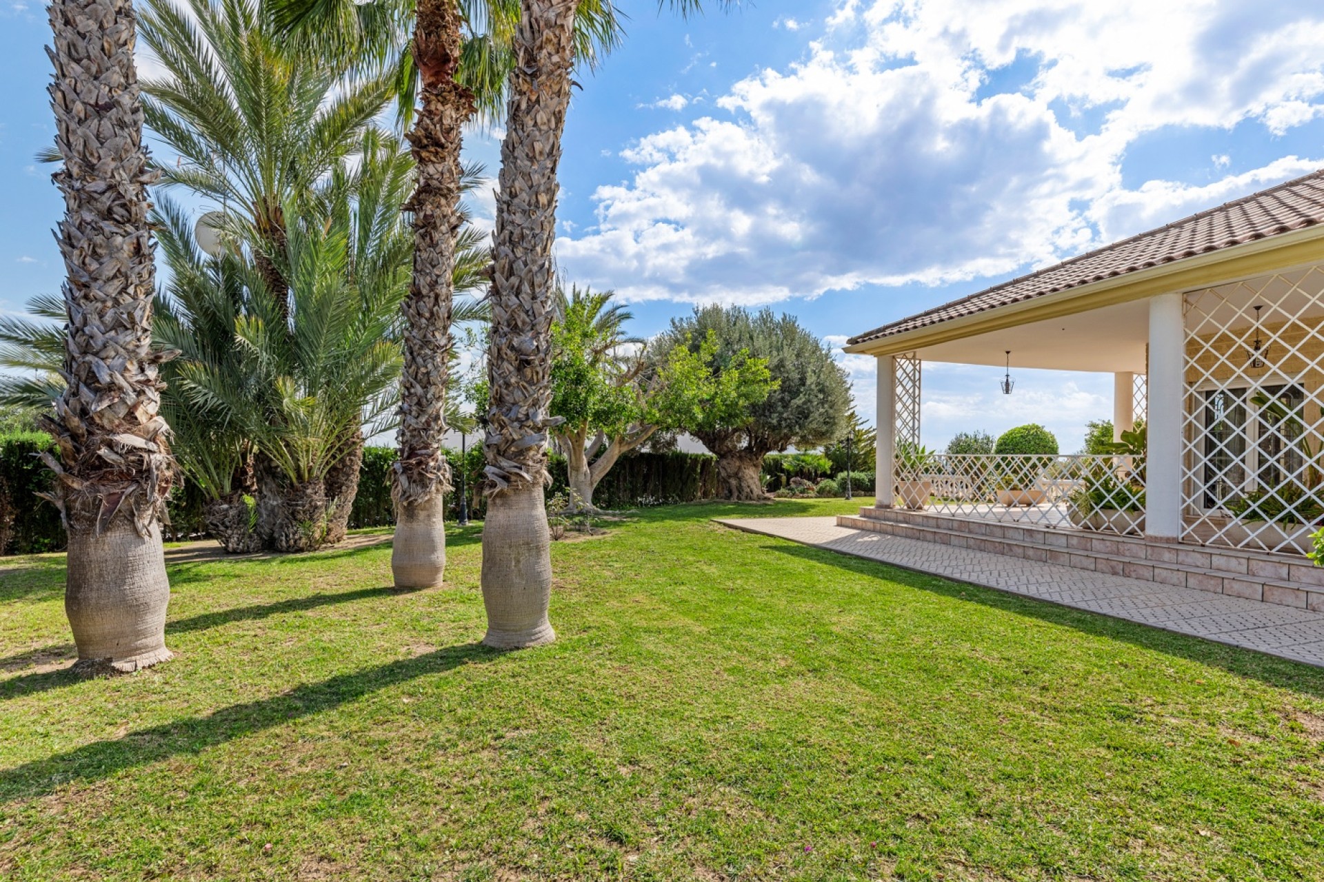 Resale - Villa - Elche