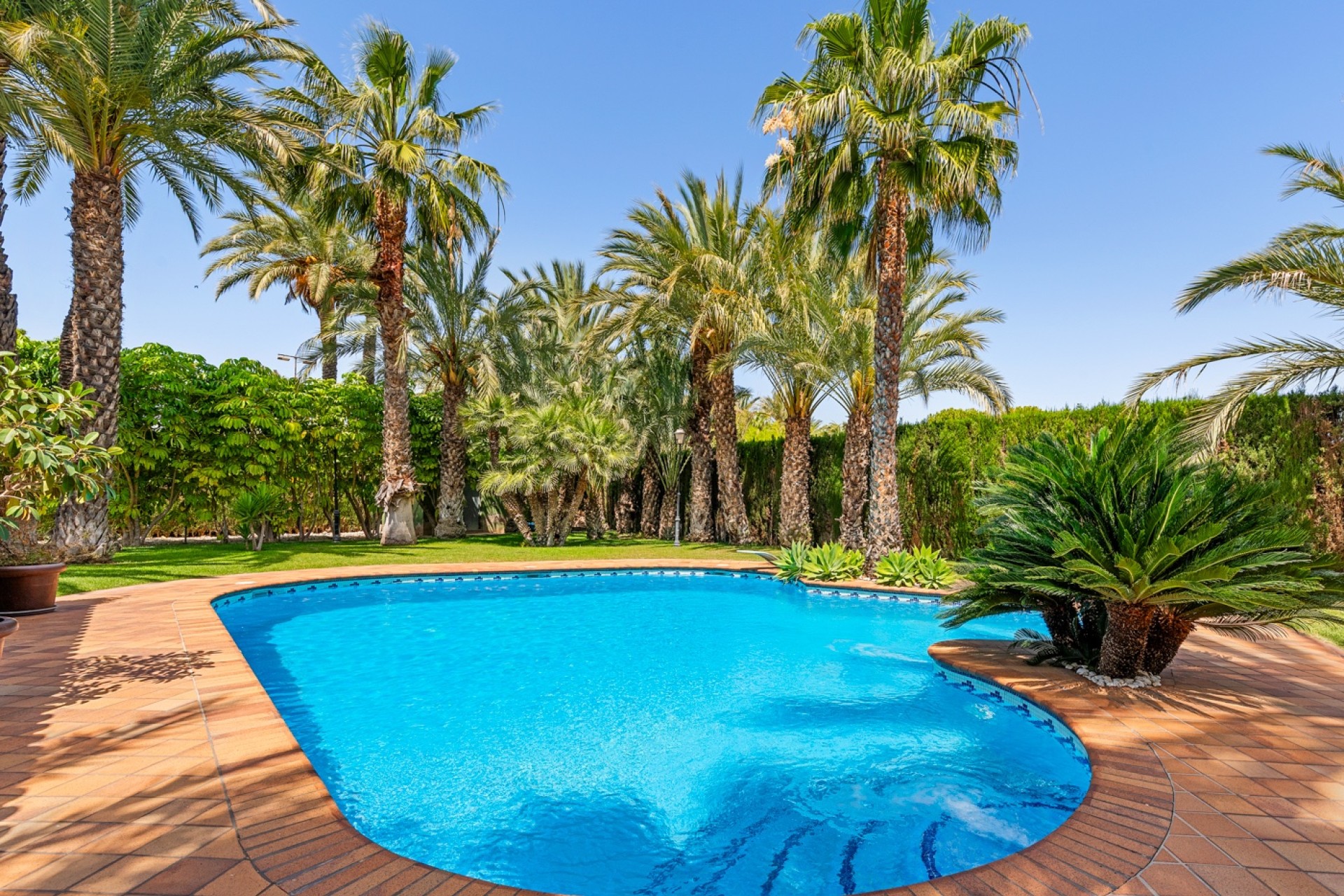 Resale - Villa - Elche