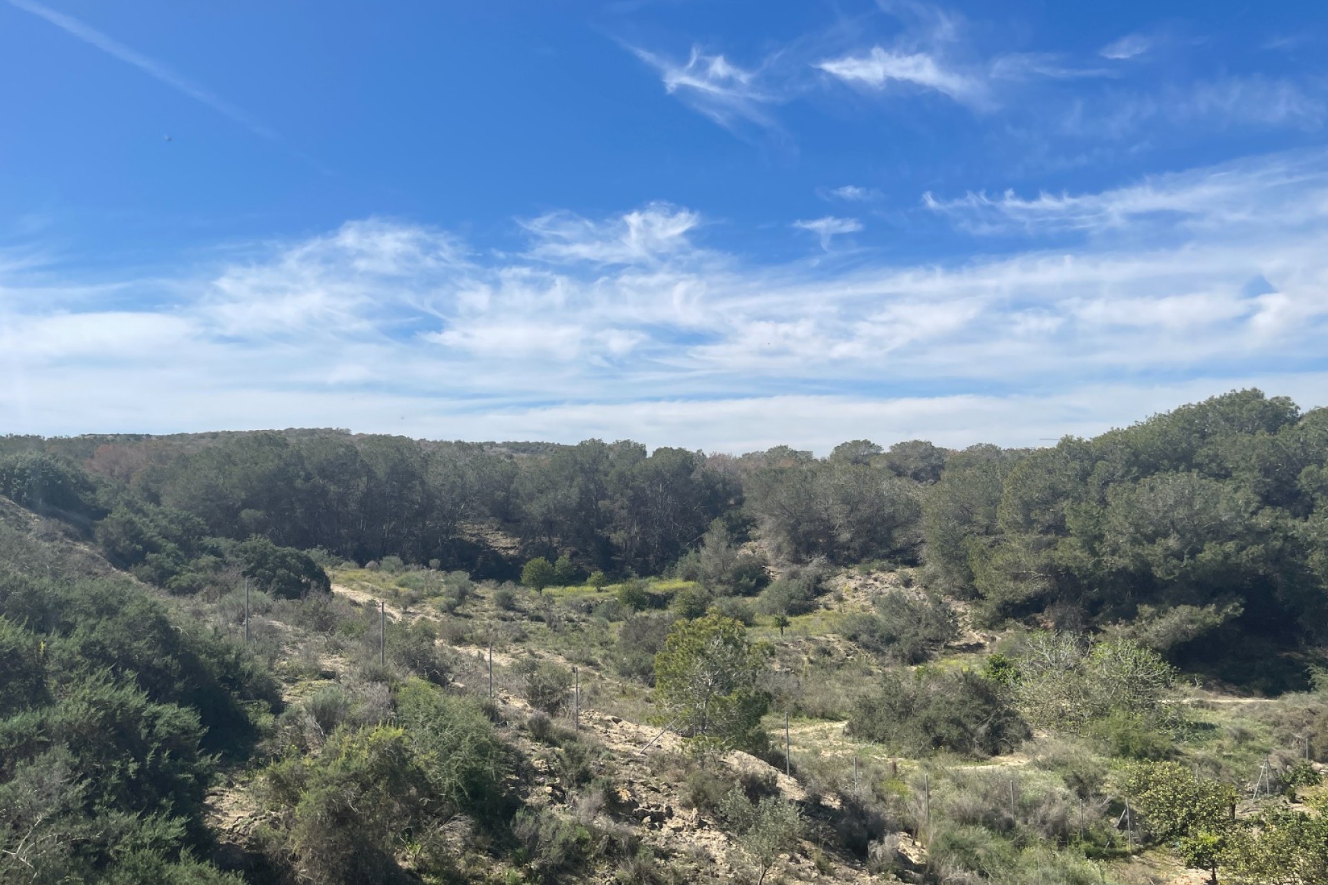 Resale - Villa - Guardamar del Segura - Valencia