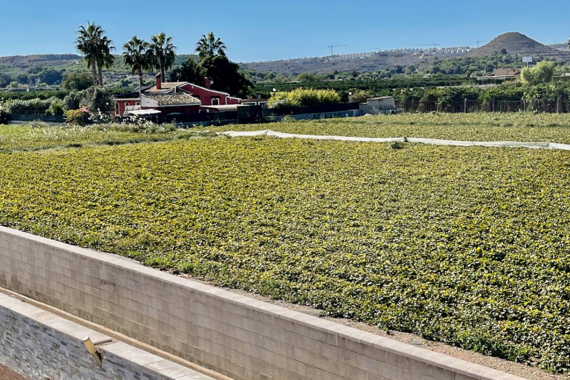 Resale - Villa - Guardamar del Segura