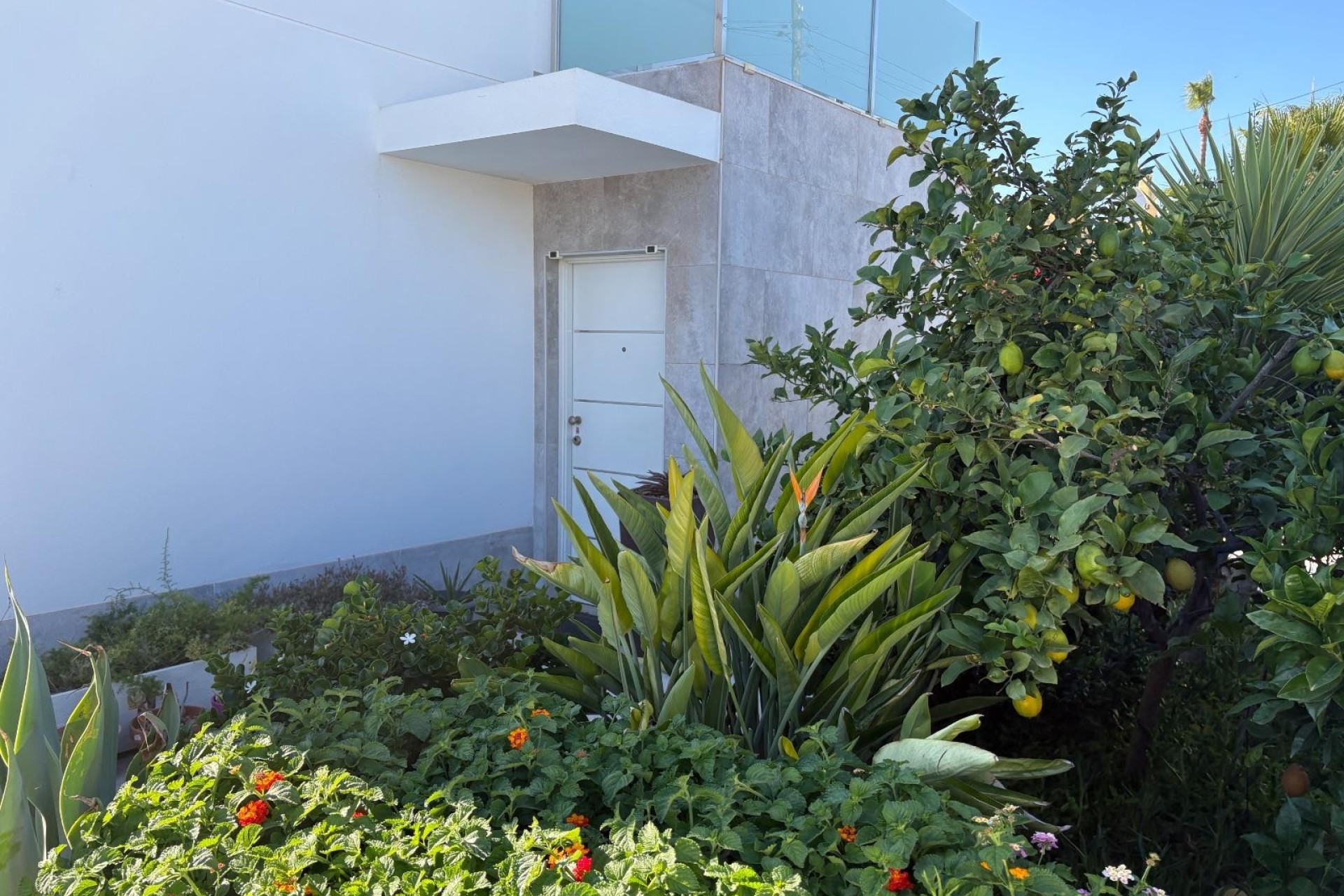Resale - Villa / House - Torrevieja - La Siesta
