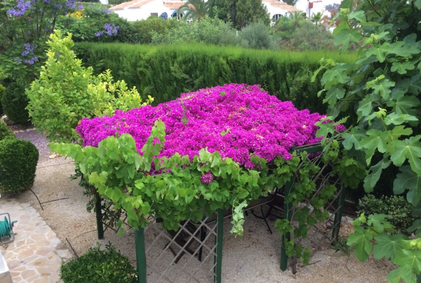 Resale - Villa - Jávea - Cansalades