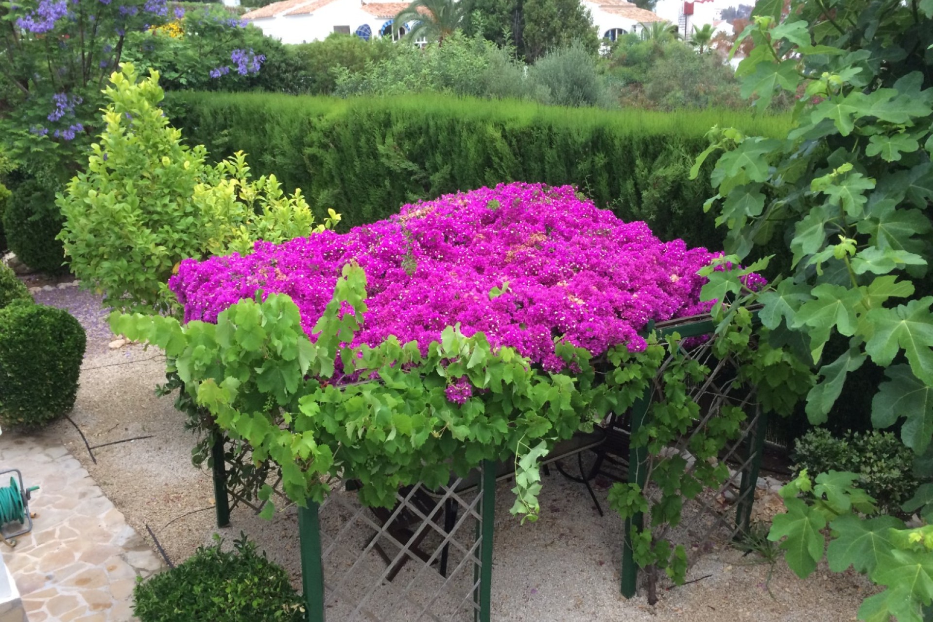 Resale - Villa - Jávea - Cansalades