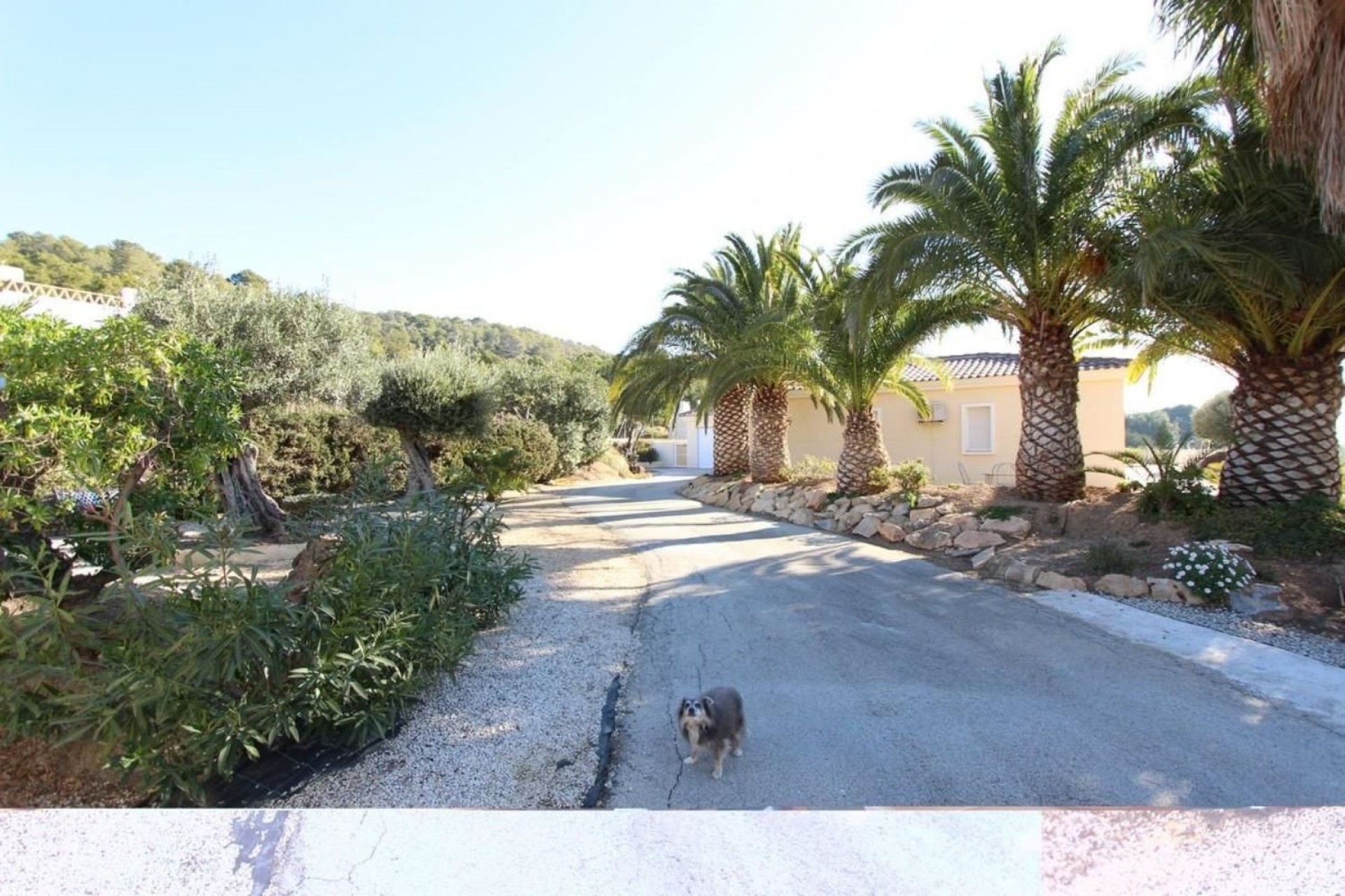 Resale - Villa - La Nucía - El Tossal-Bello Horizonte