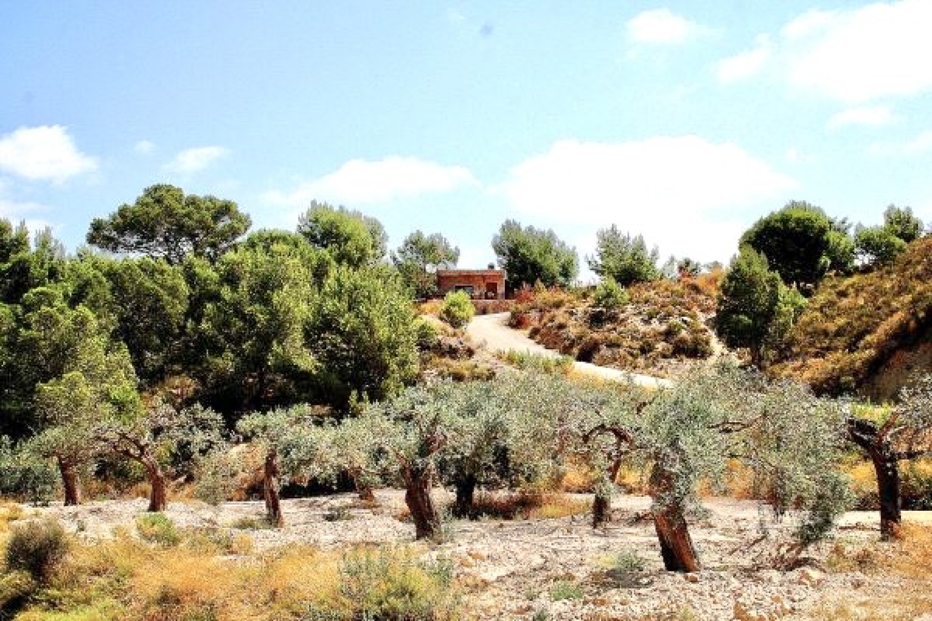 Resale - Villa - Murcia - Costa Blanca
