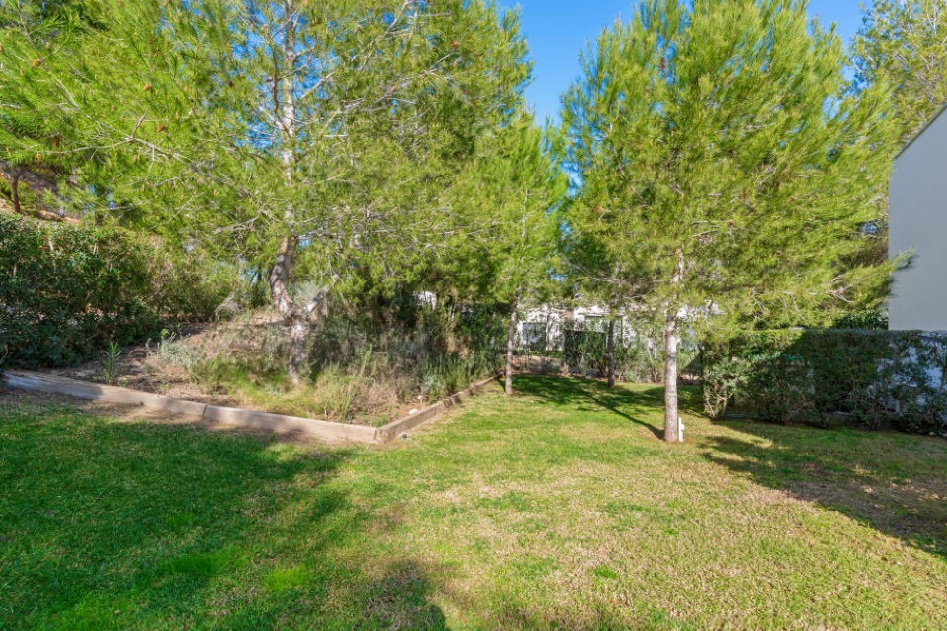 Resale - Villa - Orihuela Costa - Las Colinas golf