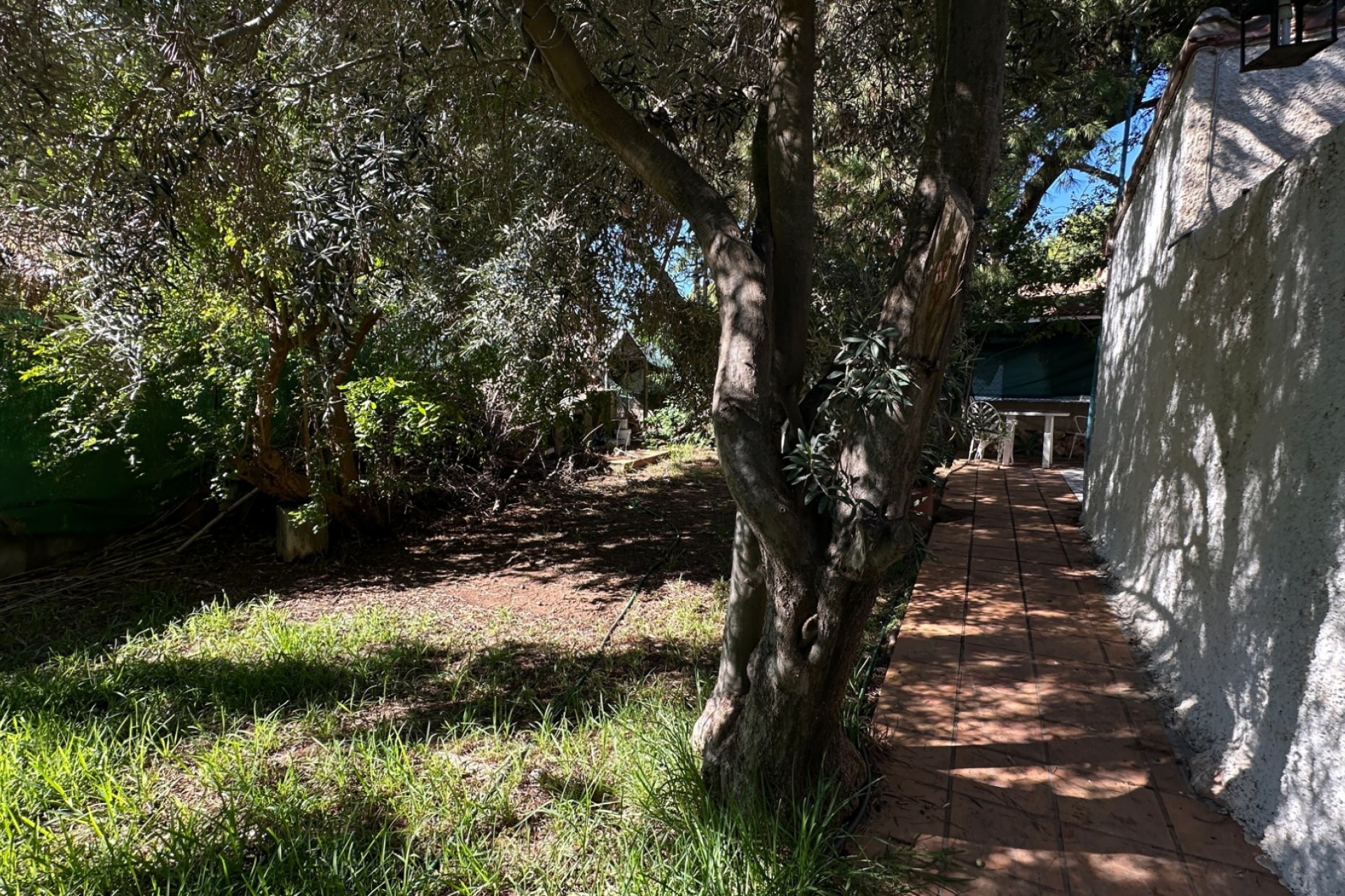 Resale - Villa - Orihuela Costa - Punta Prima