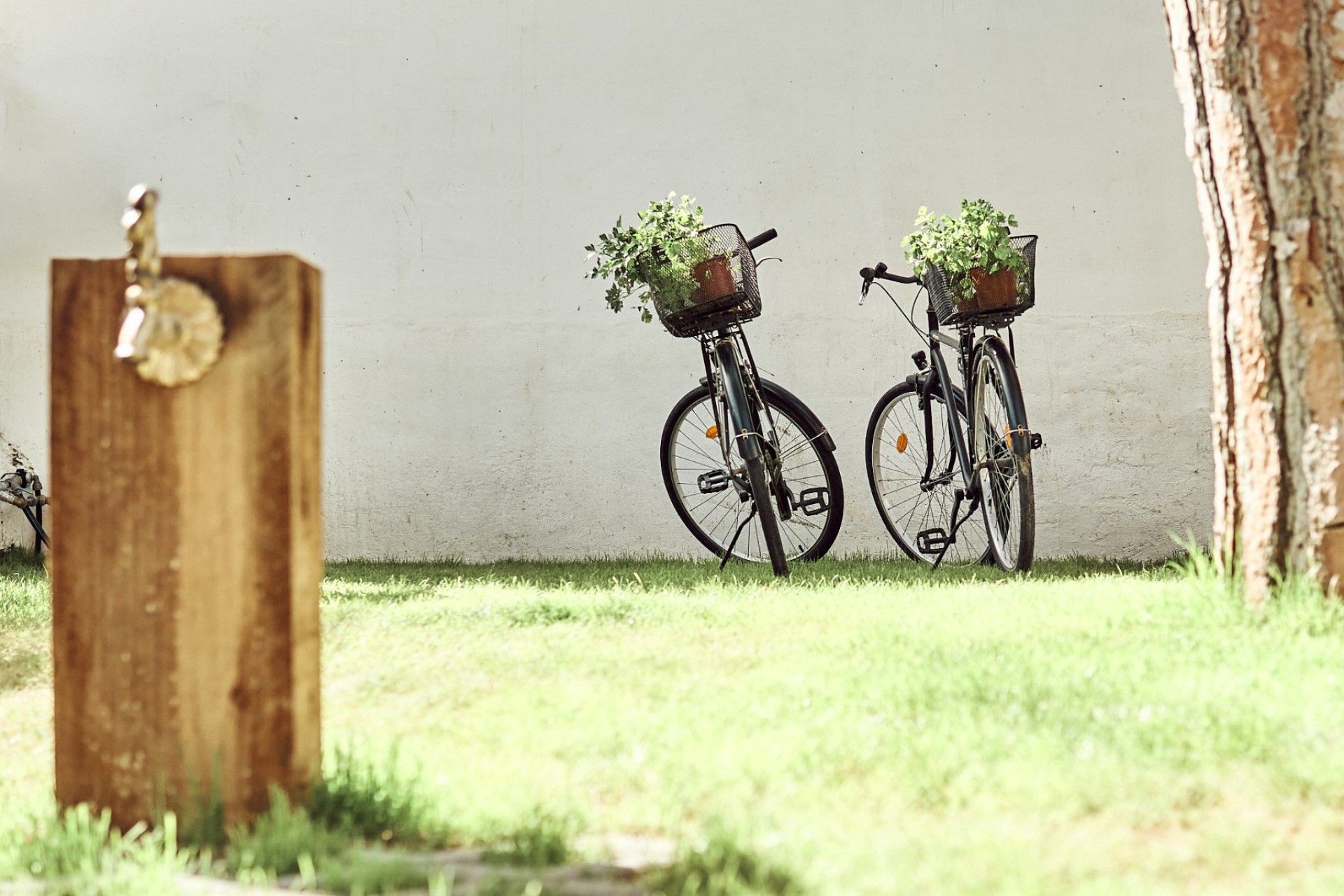 Resale - Villa - Orihuela Costa - Punta Prima