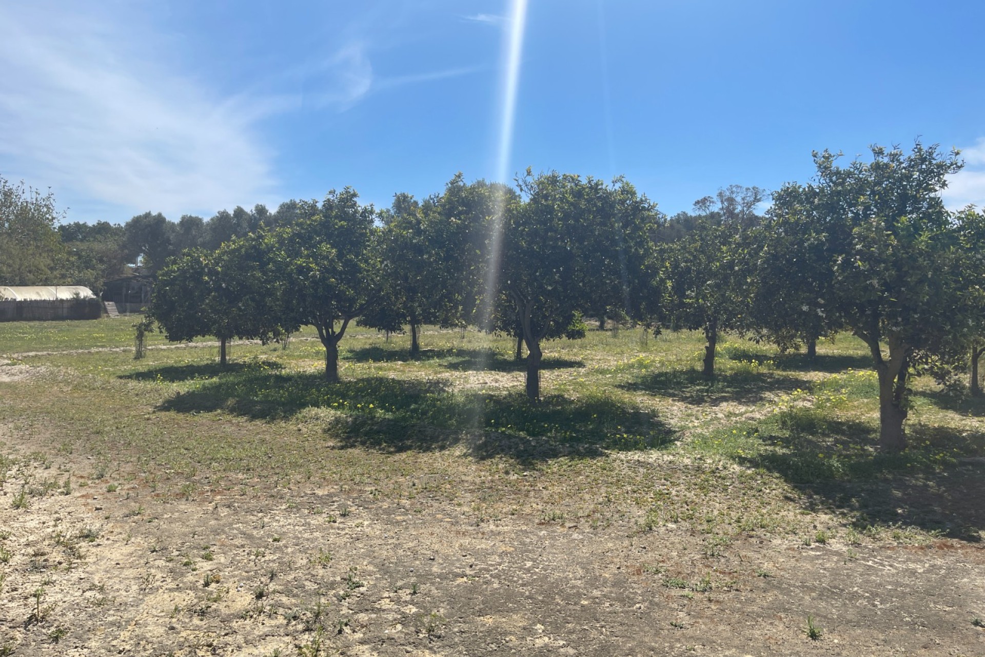 Resale - Villa - Rojales