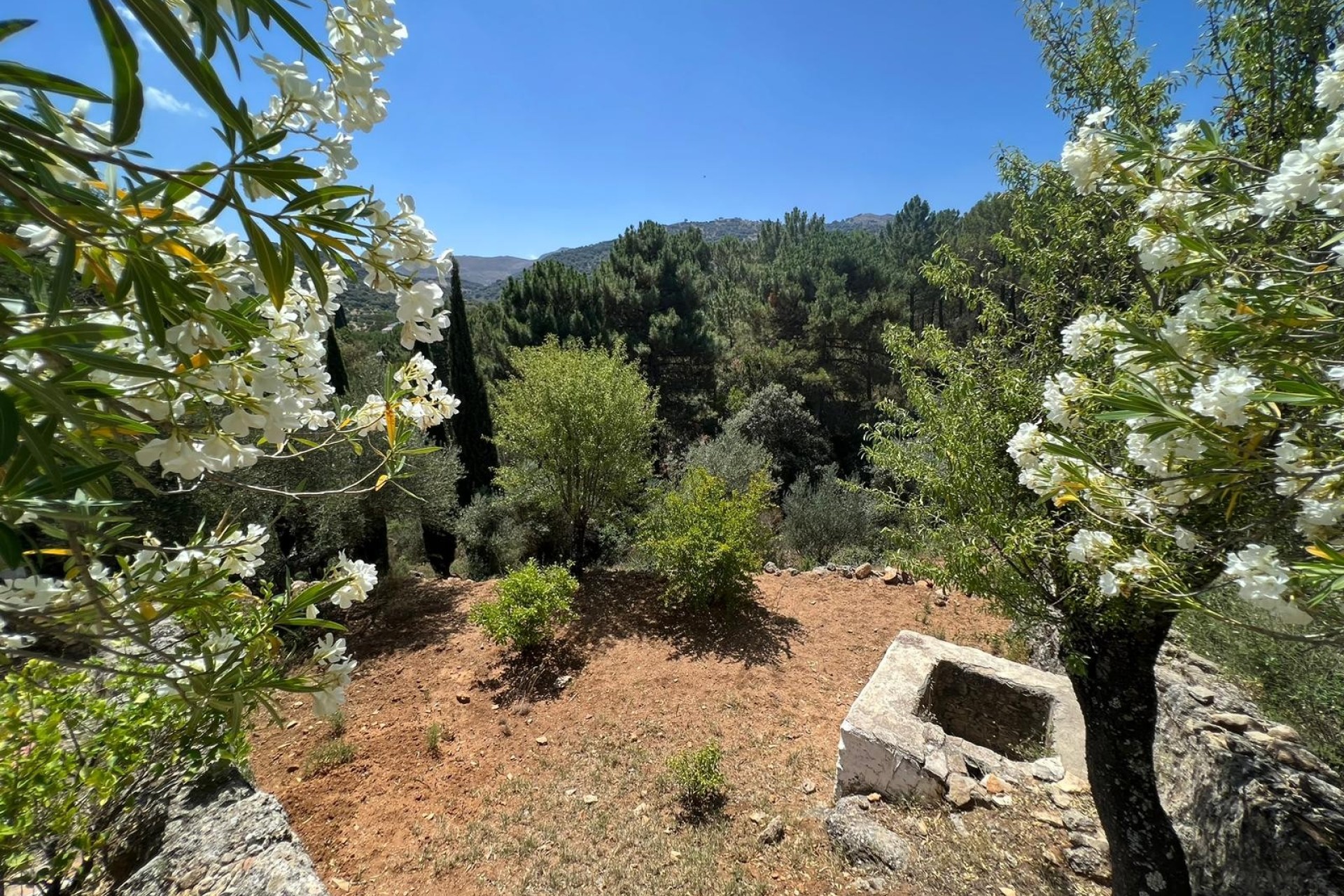 Resale - Villa - Ronda