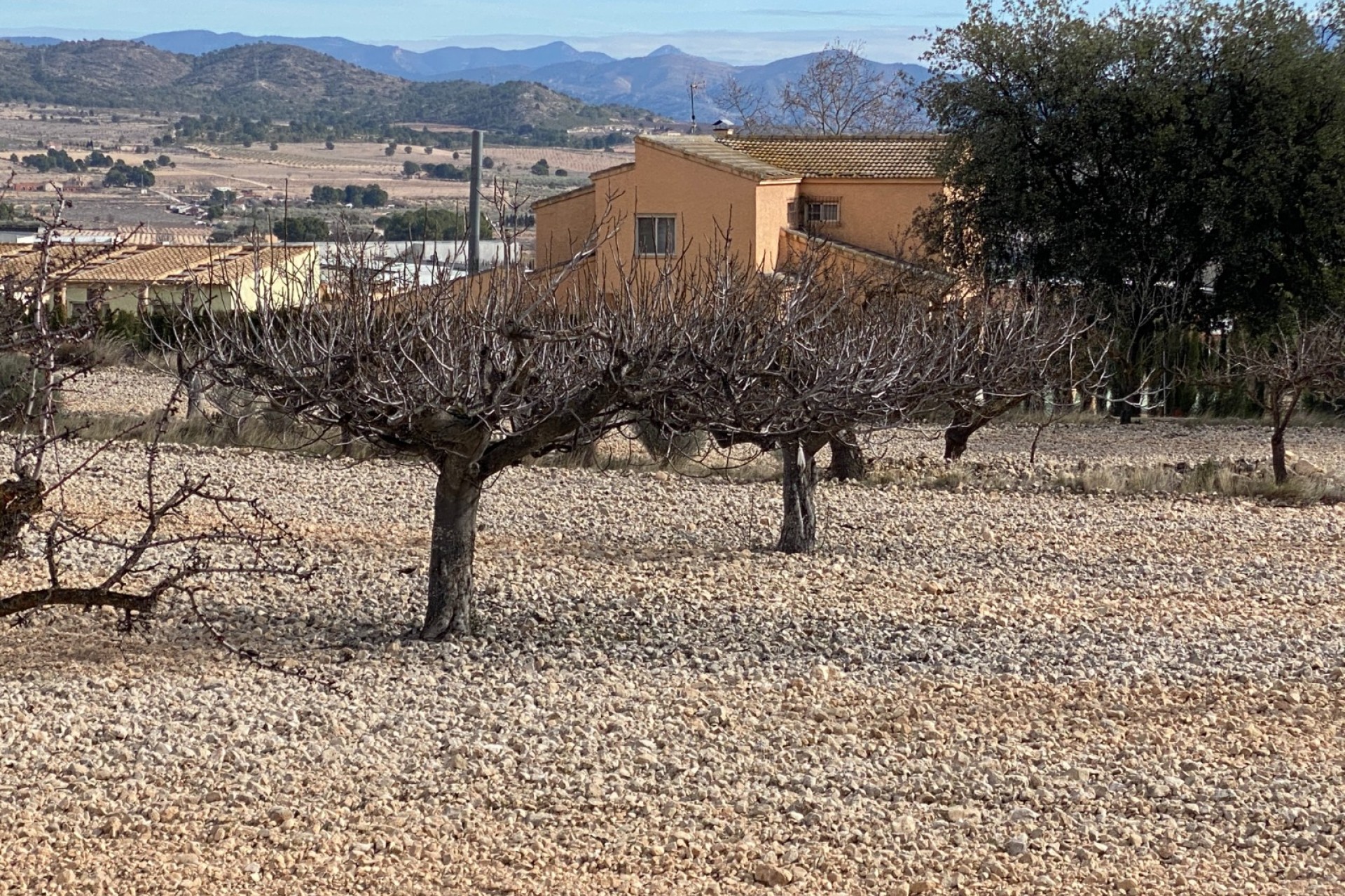 Resale - Villa - Salinas