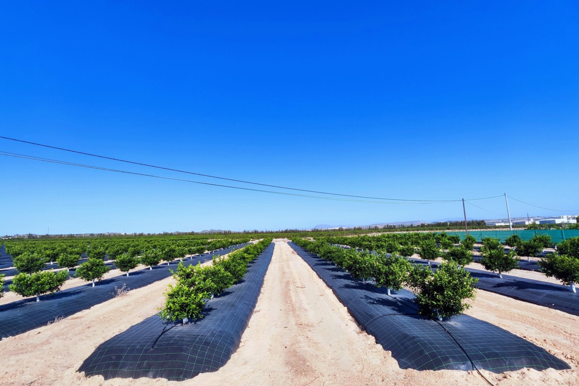 Resale - Villa - San Miguel de Salinas