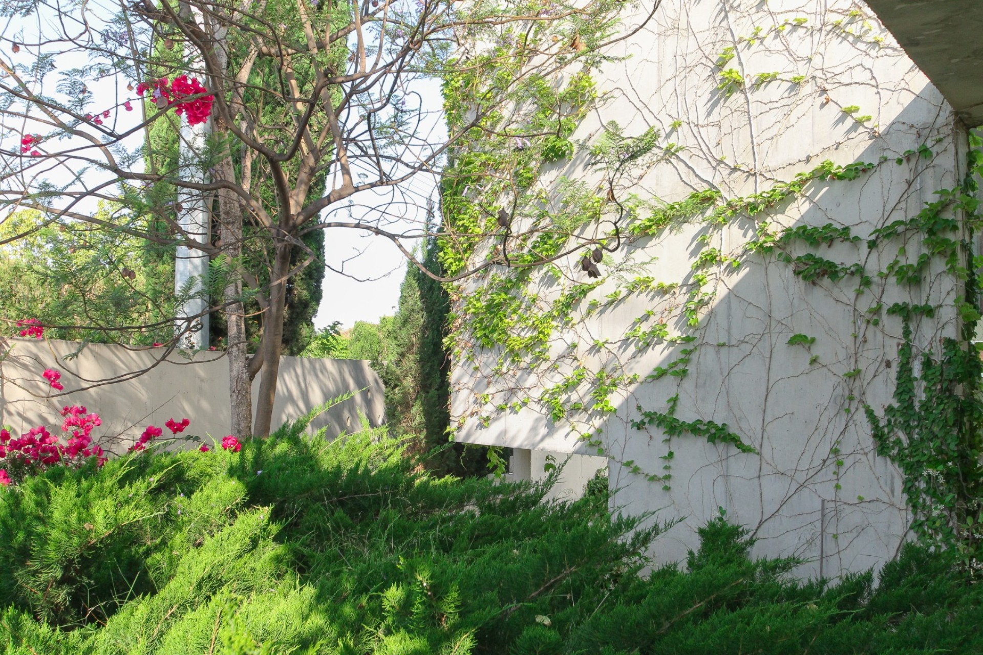 Resale - Villa - San Vicente de Raspeig - San Vicente del Raspeig