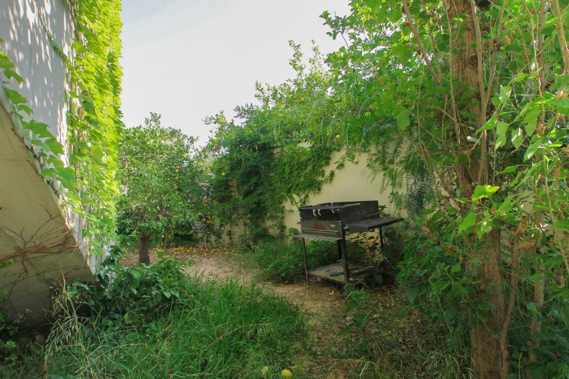 Resale - Villa - San Vicente de Raspeig - San Vicente del Raspeig