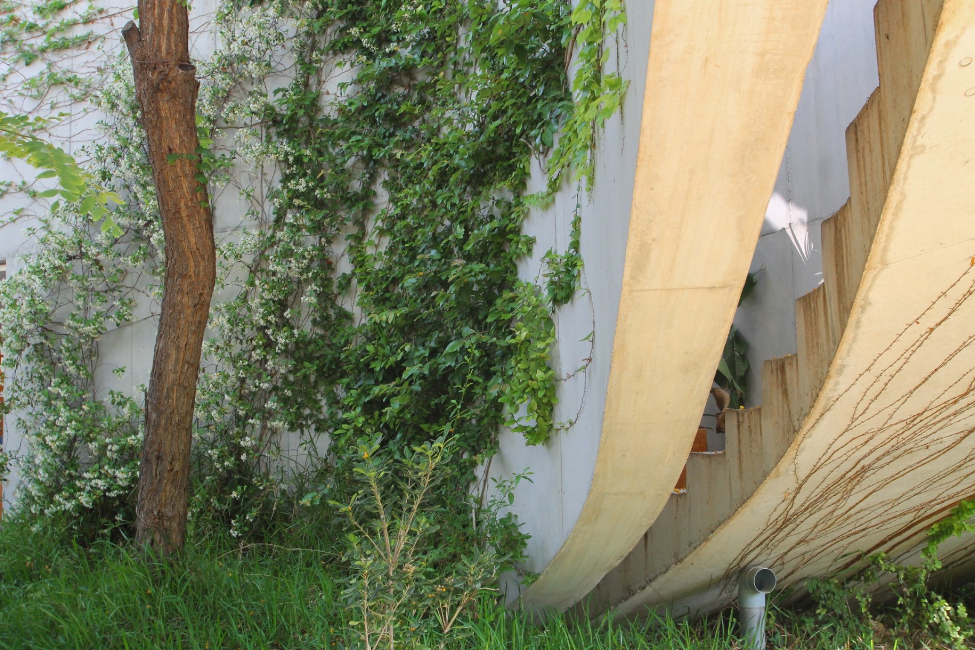 Resale - Villa - San Vicente de Raspeig - San Vicente del Raspeig