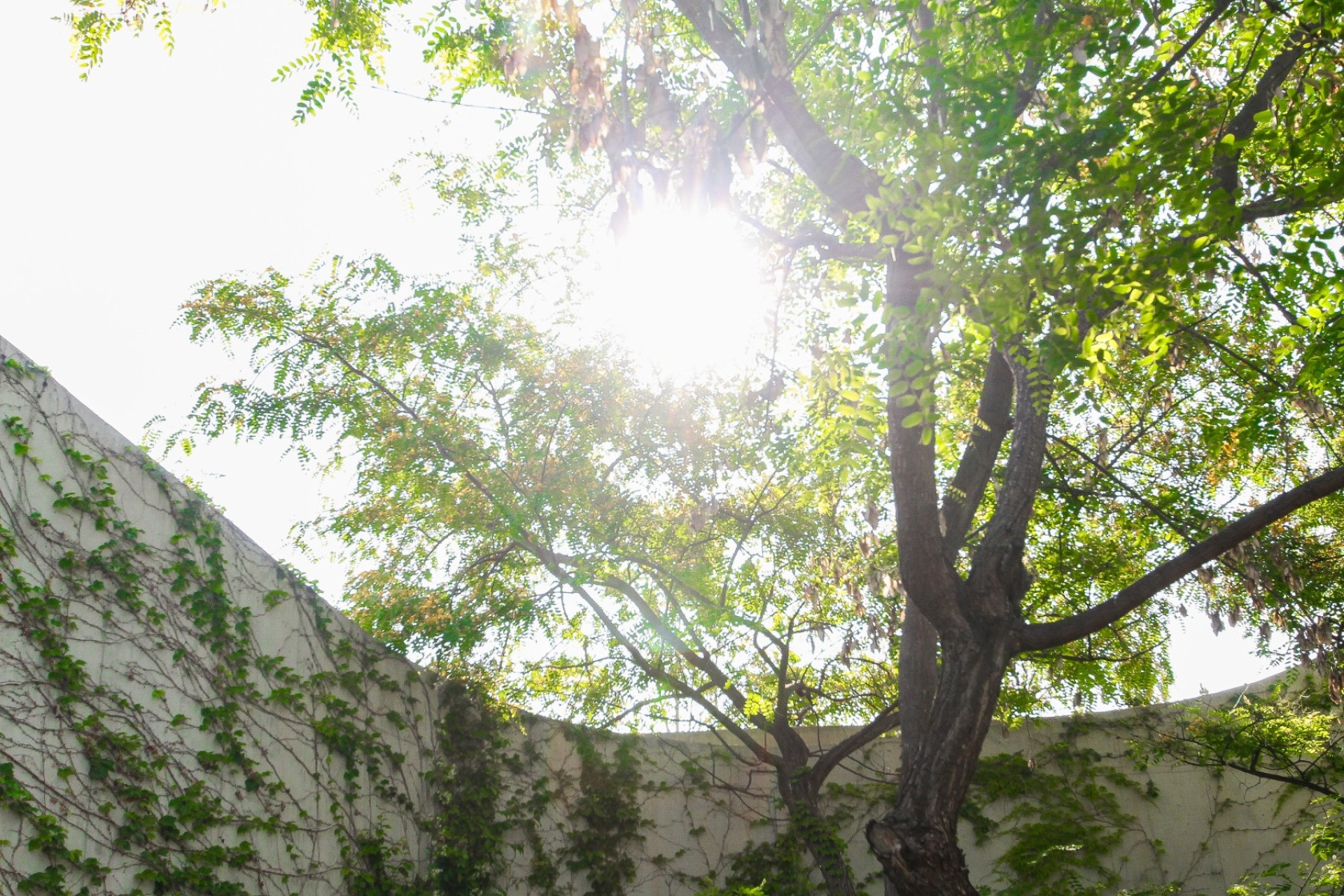 Resale - Villa - San Vicente de Raspeig - San Vicente del Raspeig