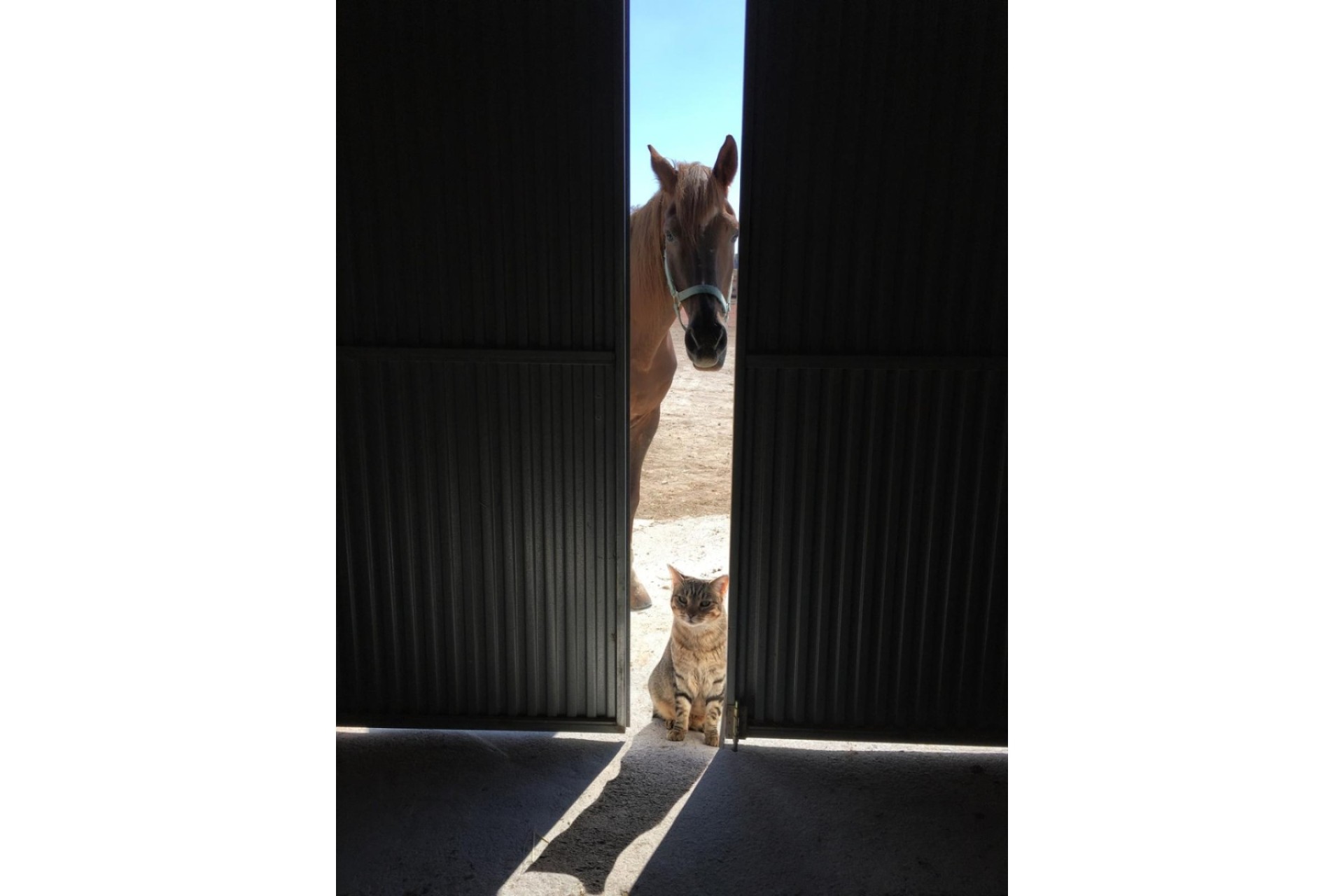 Resale - Villa - Torre Del Rico