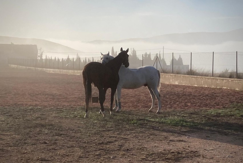 Resale - Villa - Torre Del Rico