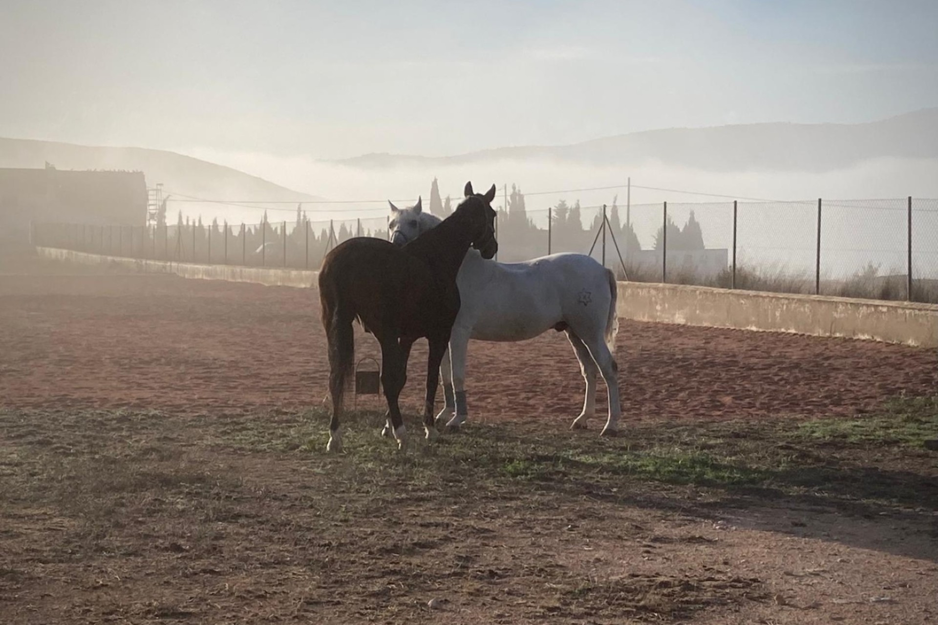 Resale - Villa - Torre Del Rico