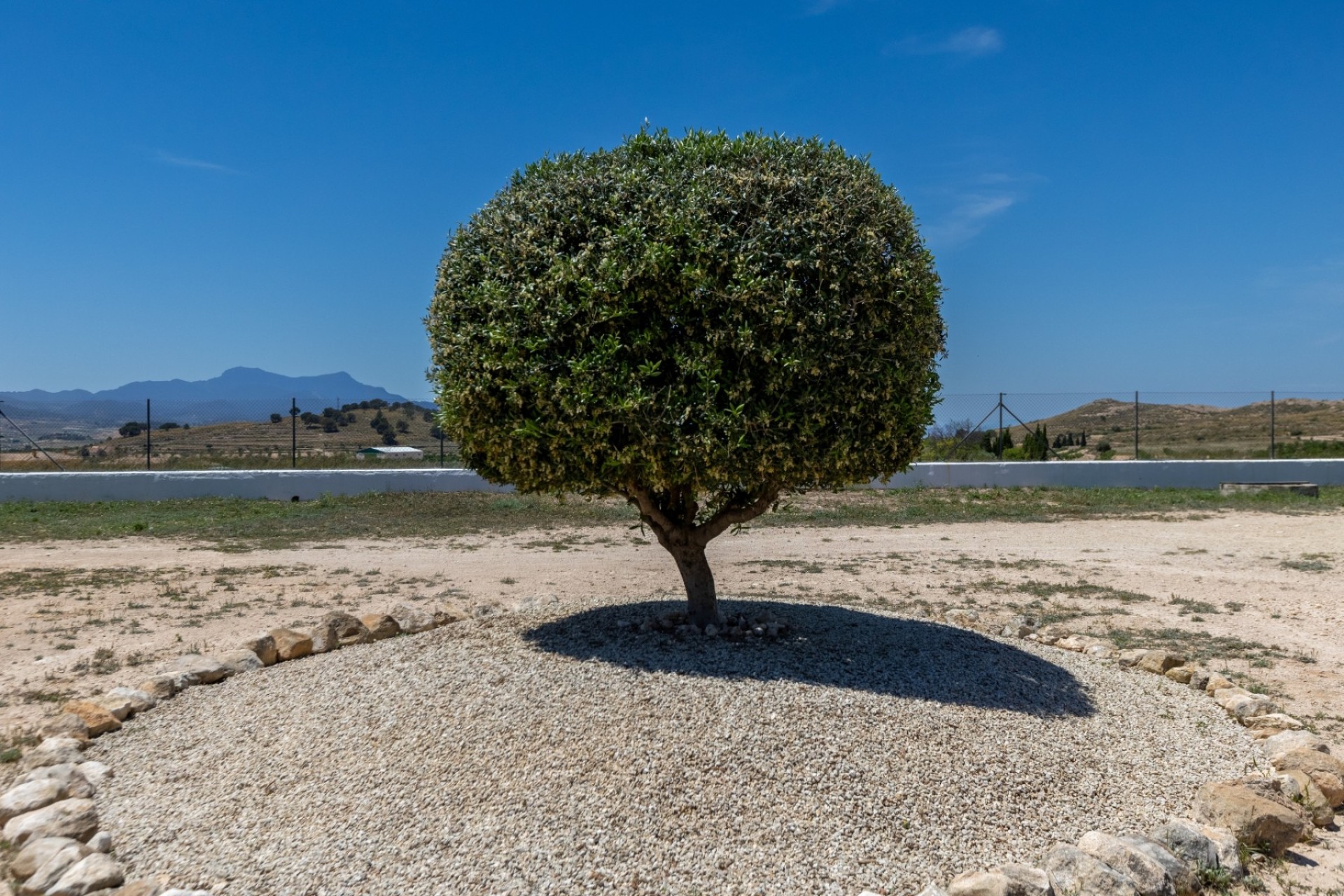 Resale - Villa - Torre Del Rico