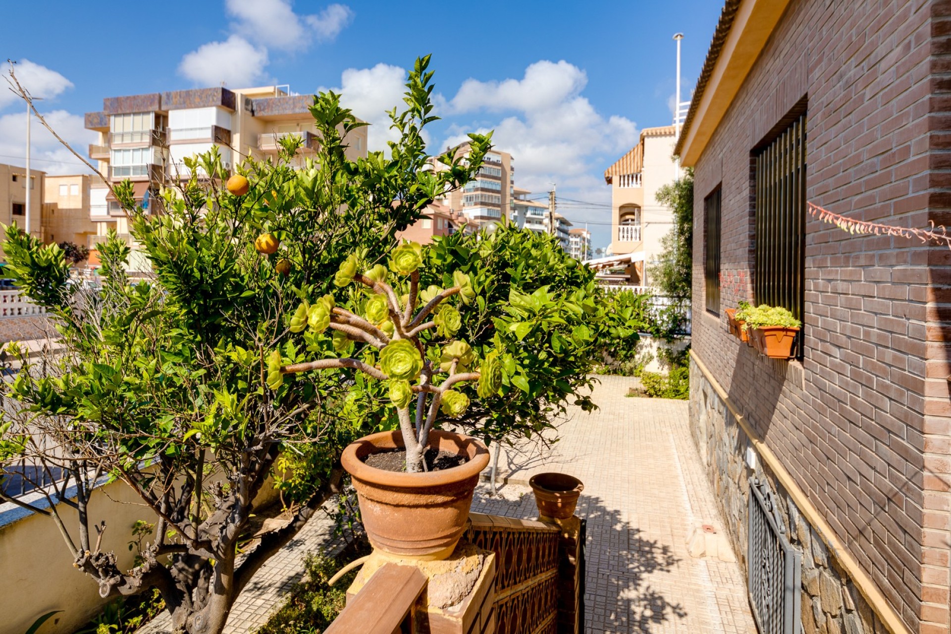 Resale - Villa - Torrevieja - La Mata