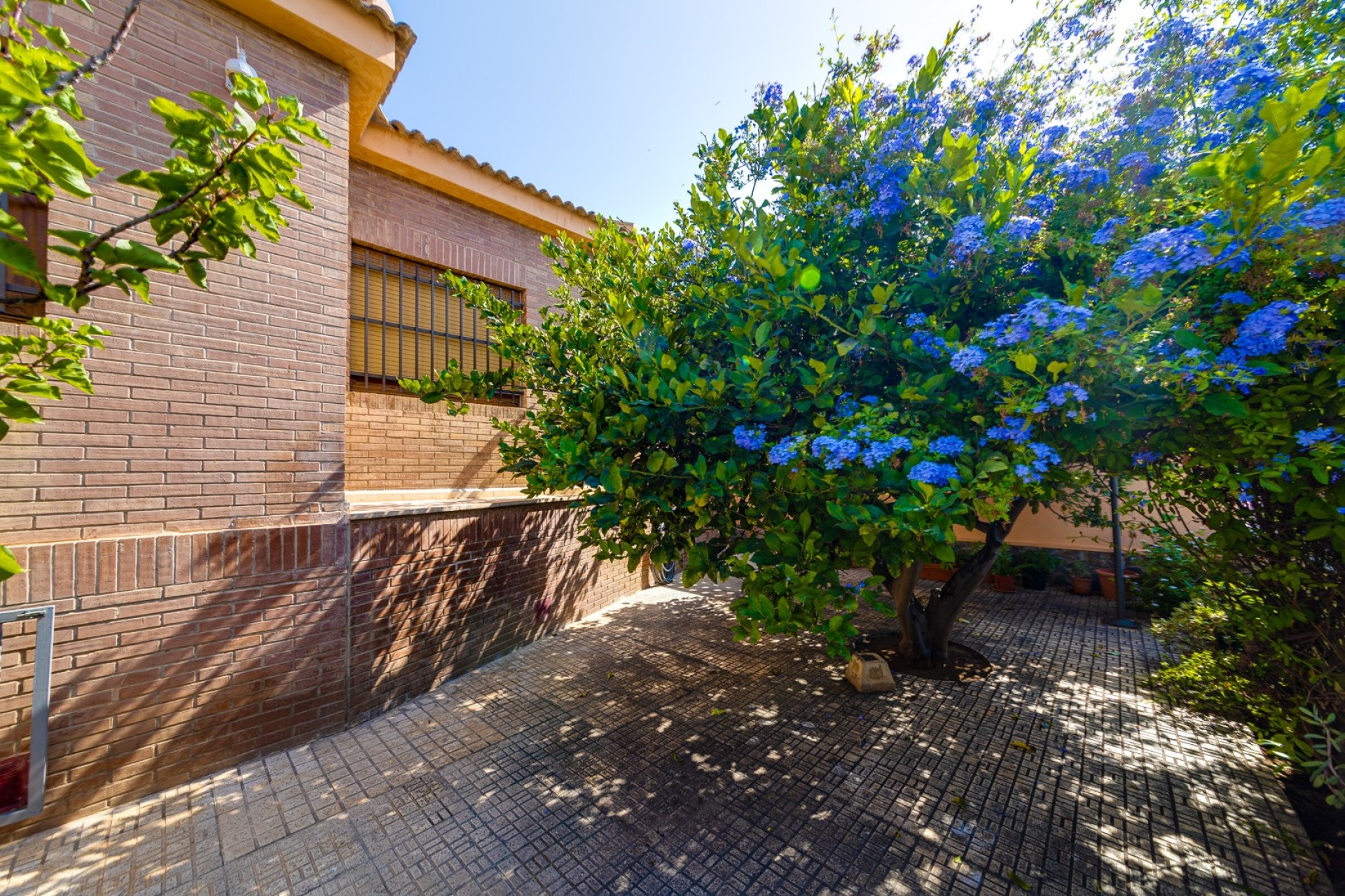 Resale - Villa - Torrevieja - La Mata