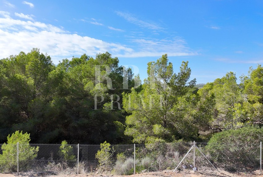 Reventa - Land - Calvià - Cala Vinyes