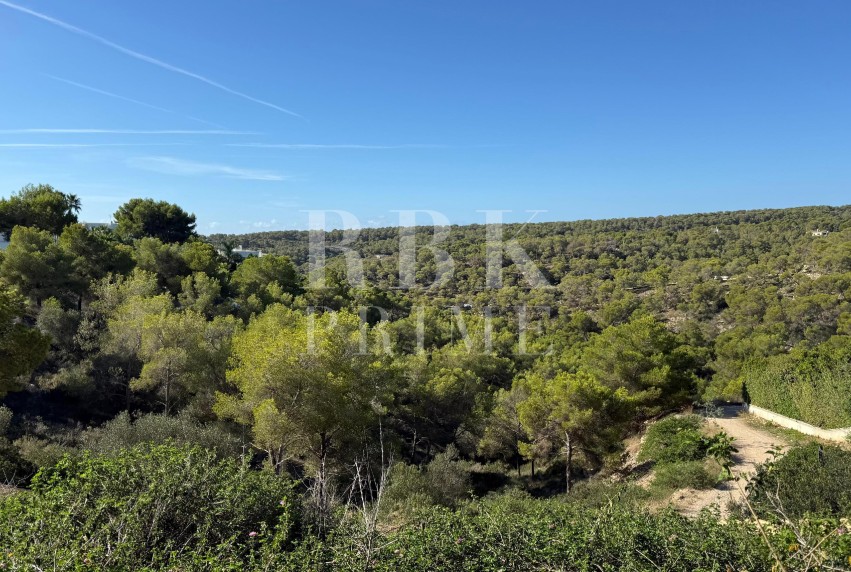 Reventa - Land - Calvià - Sol de Mallorca