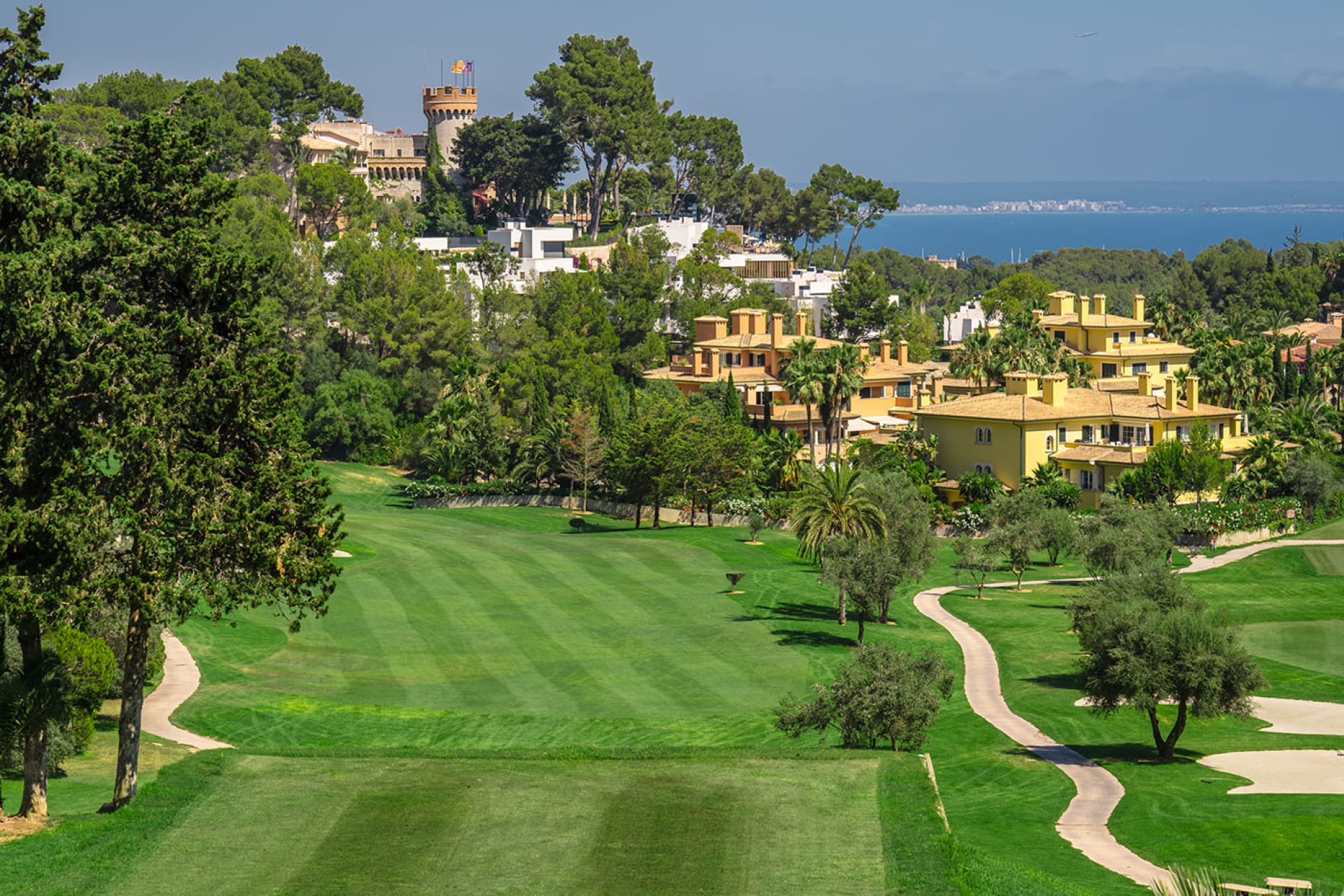 Reventa - Land - Palma - Son Vida