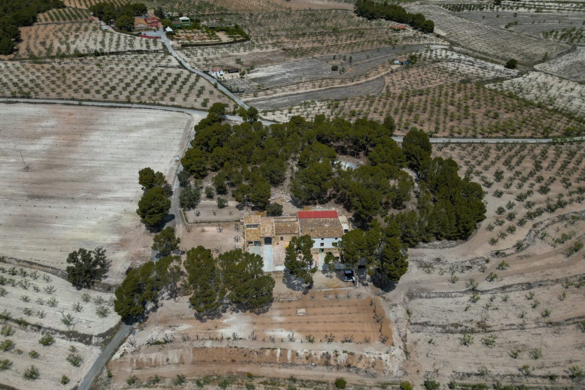 Reventa - Others - Castalla