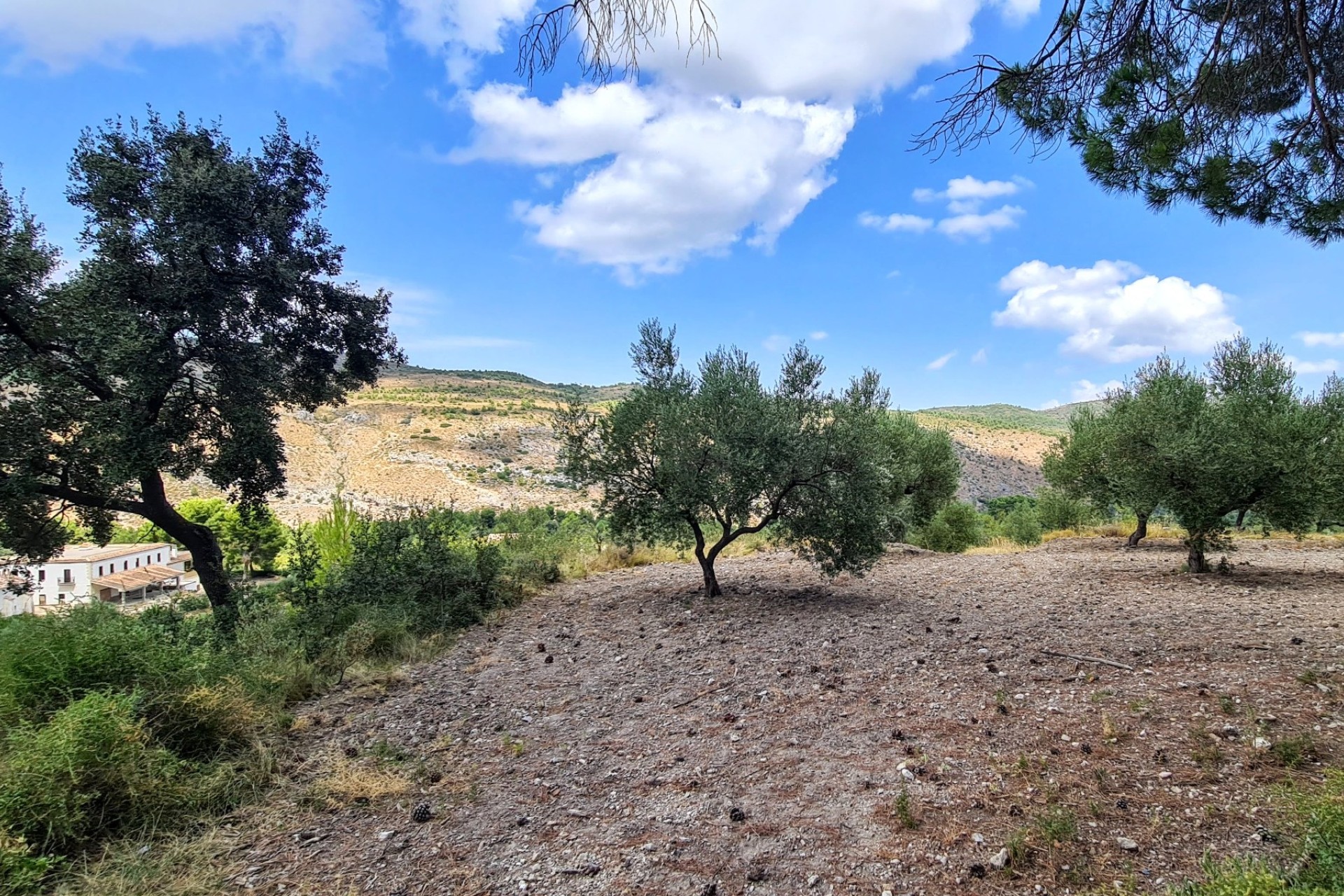 Reventa - Villa - Alcoy - Muro de Alcoy
