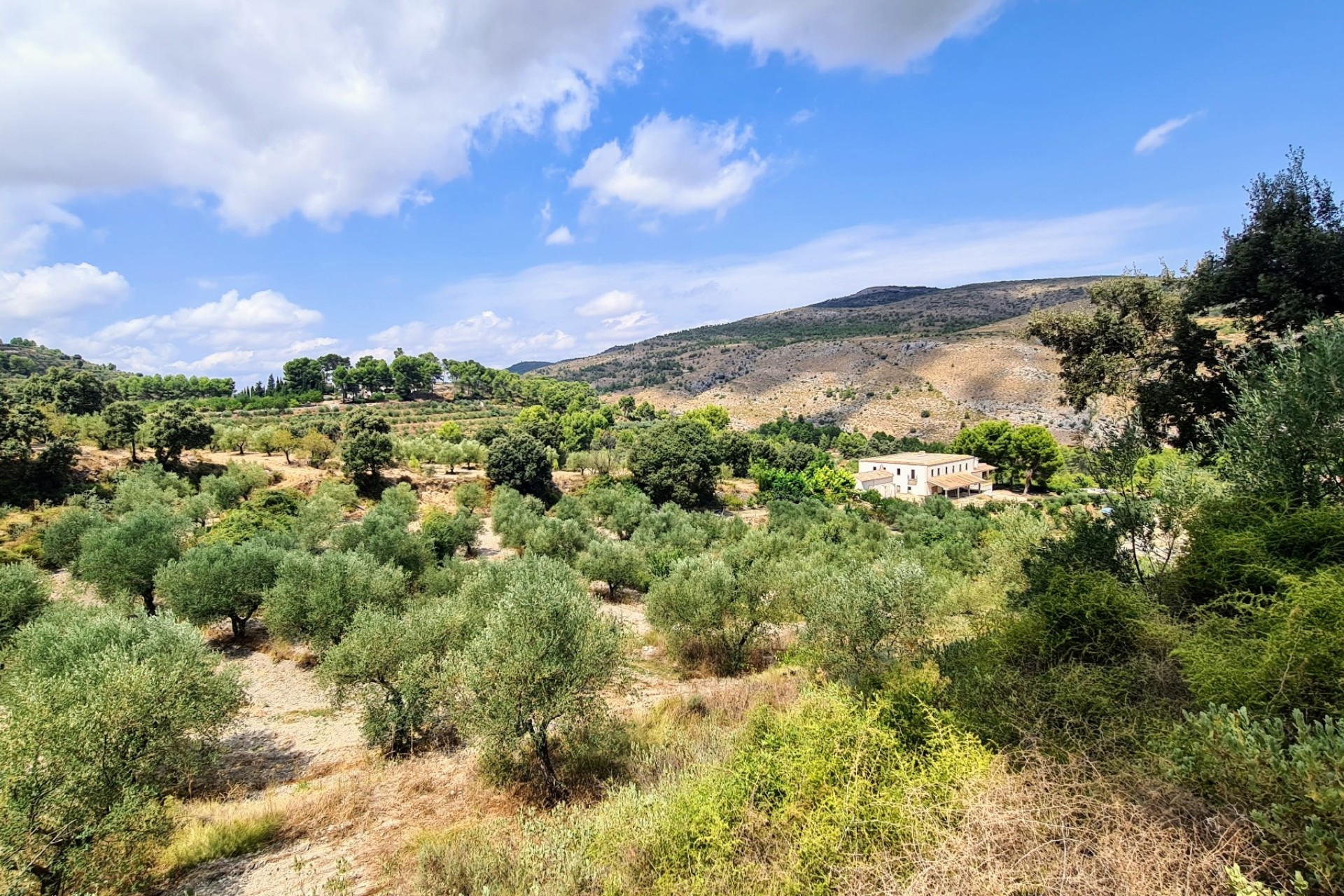 Reventa - Villa - Alcoy - Muro de Alcoy
