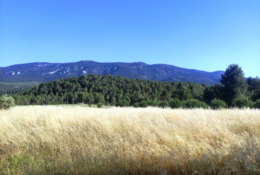 Reventa - Villa - Alcoy