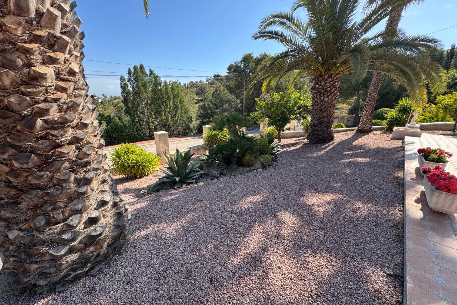Reventa - Villa - Algorfa - Lomas de La Juliana